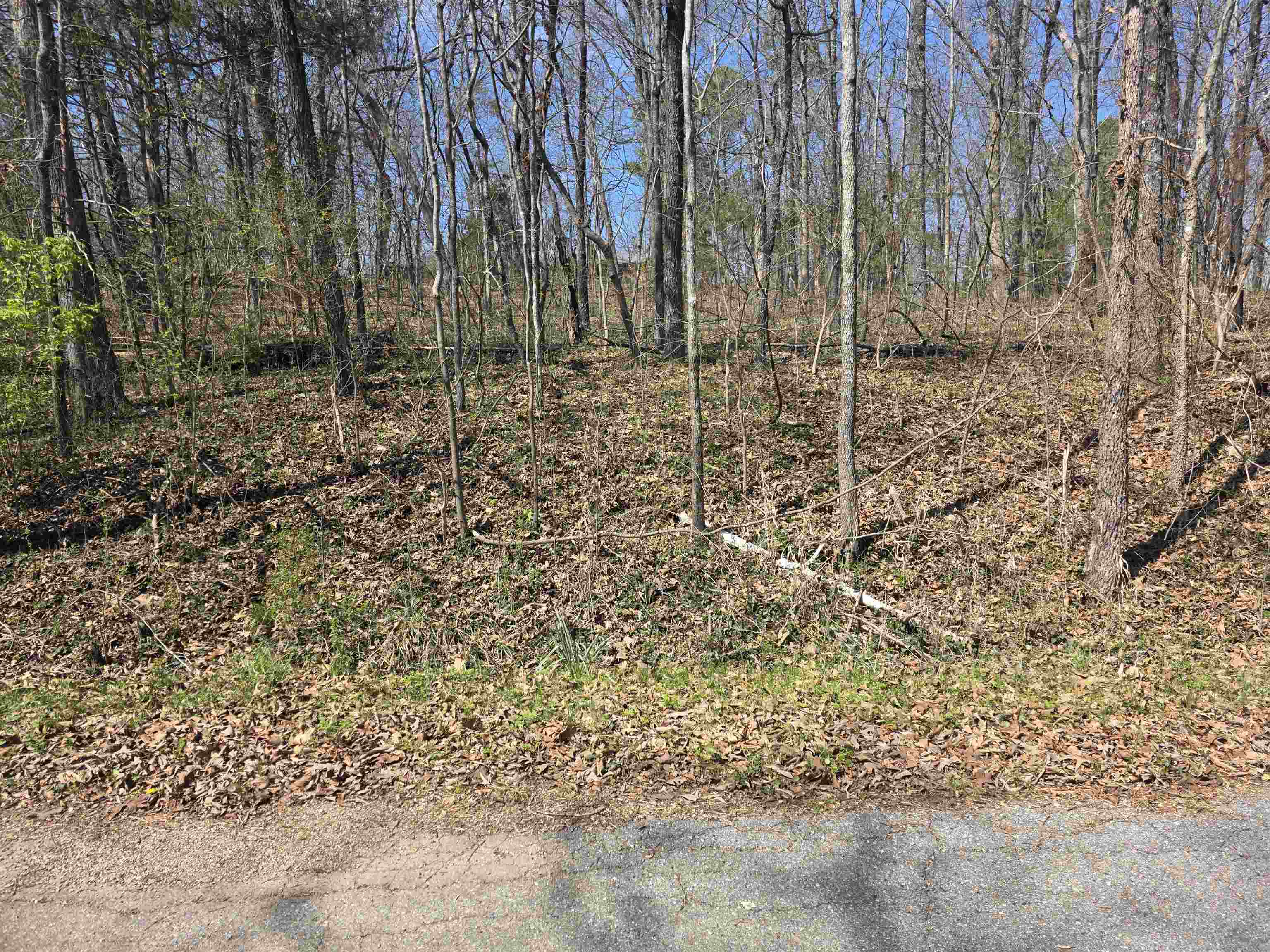 L33 B7 Navajo  Cherokee Village, AR