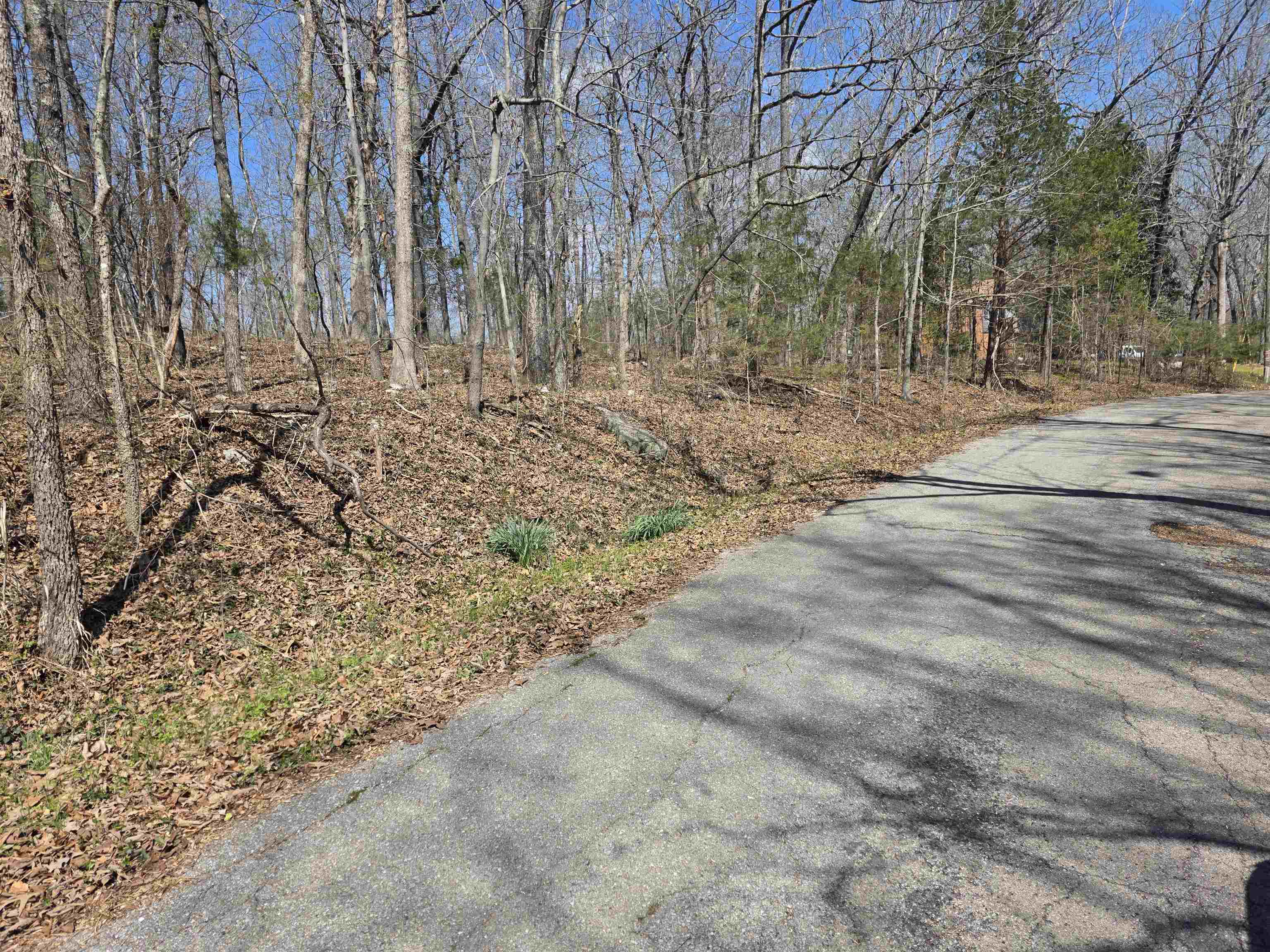 L33 B7 Navajo  Cherokee Village, AR