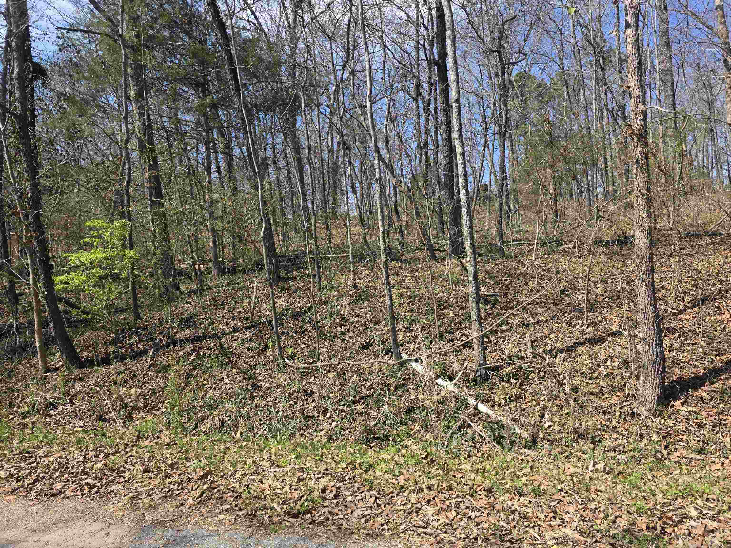 L33 B7 Navajo  Cherokee Village, AR