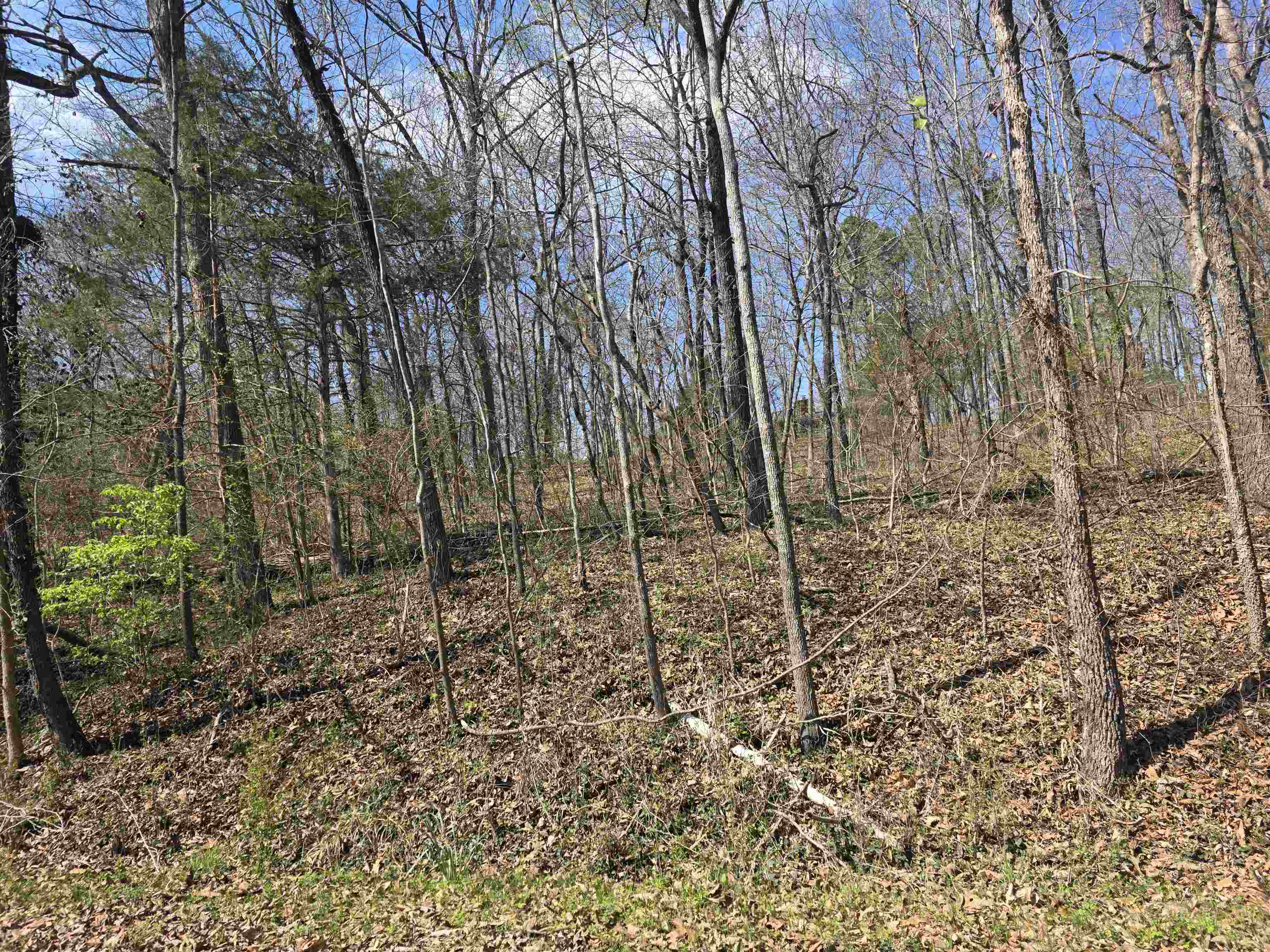 L33 B7 Navajo  Cherokee Village, AR