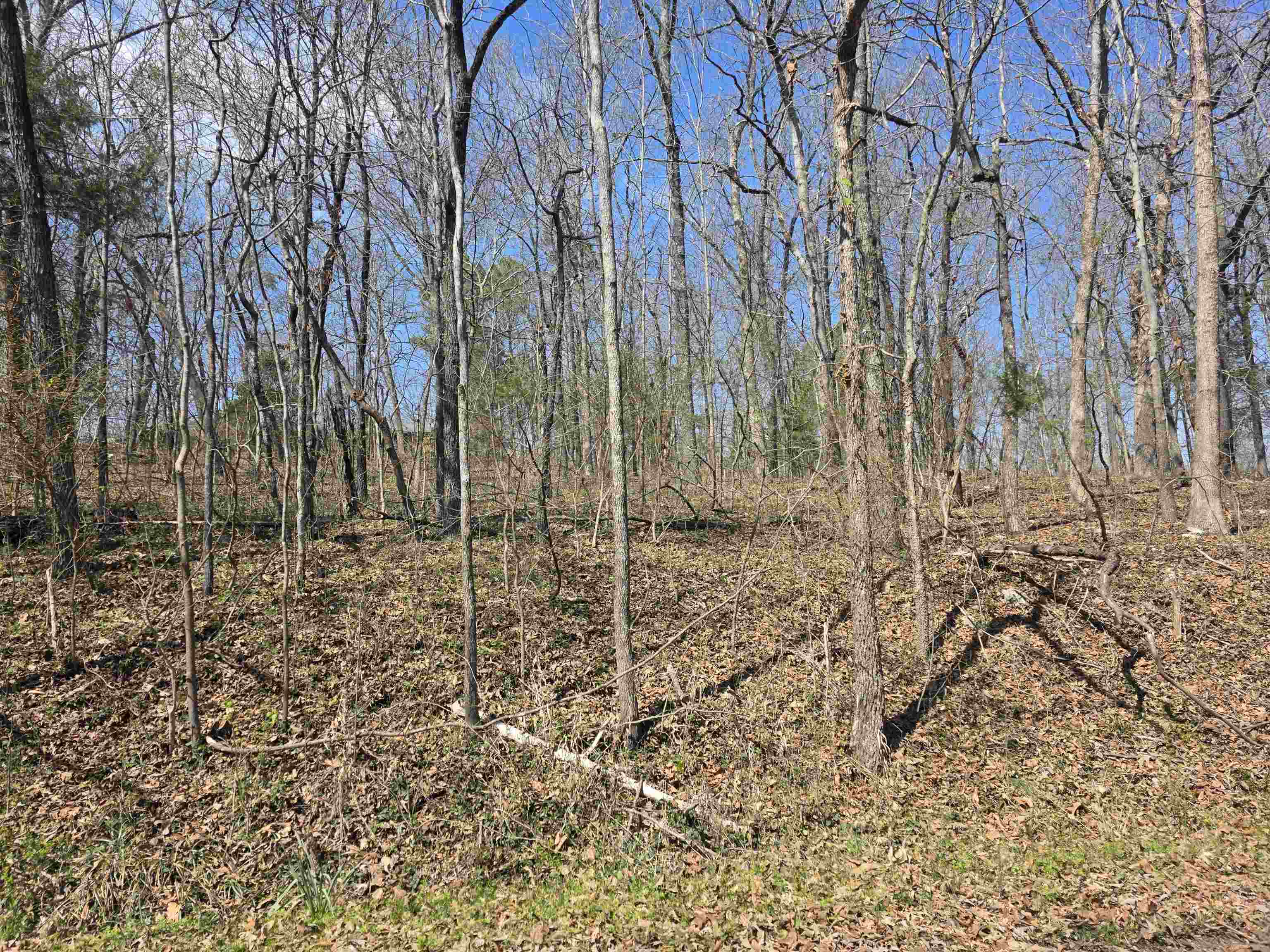 L33 B7 Navajo  Cherokee Village, AR