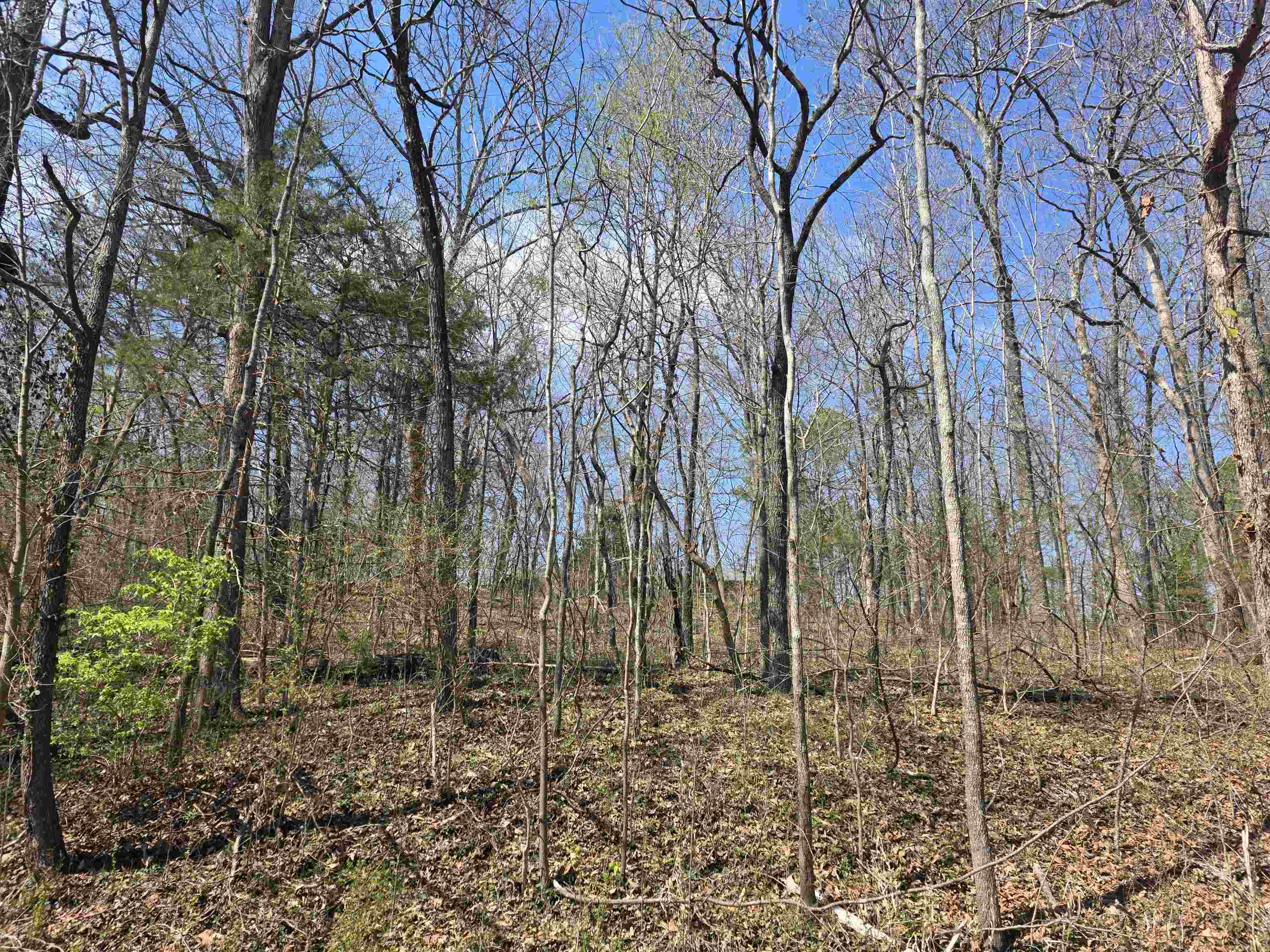 L33 B7 Navajo  Cherokee Village, AR