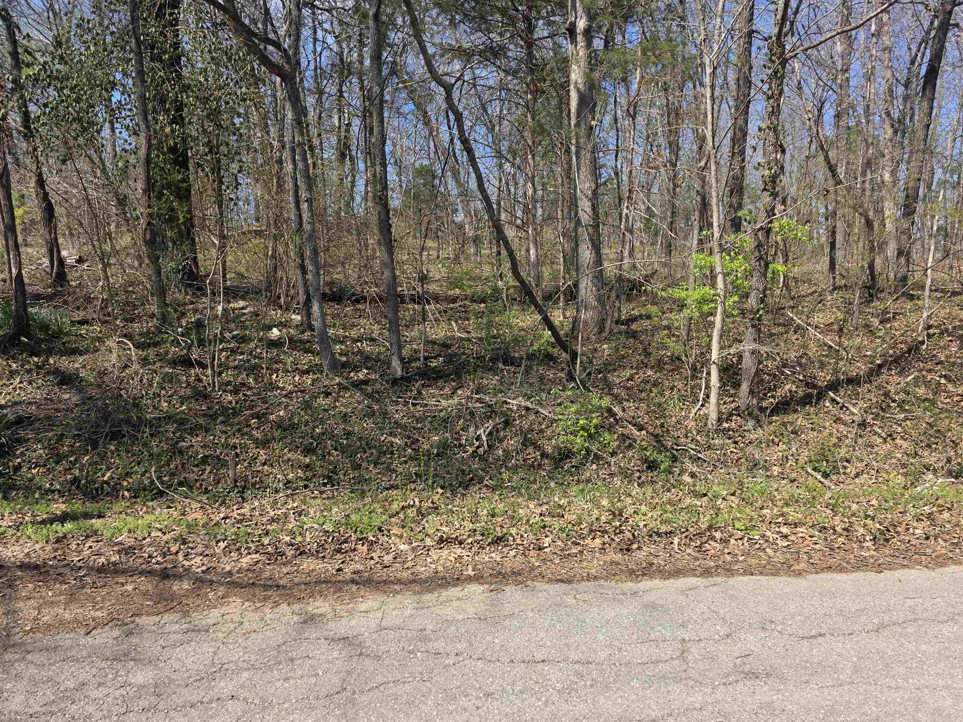 L33 B7 Navajo  Cherokee Village, AR