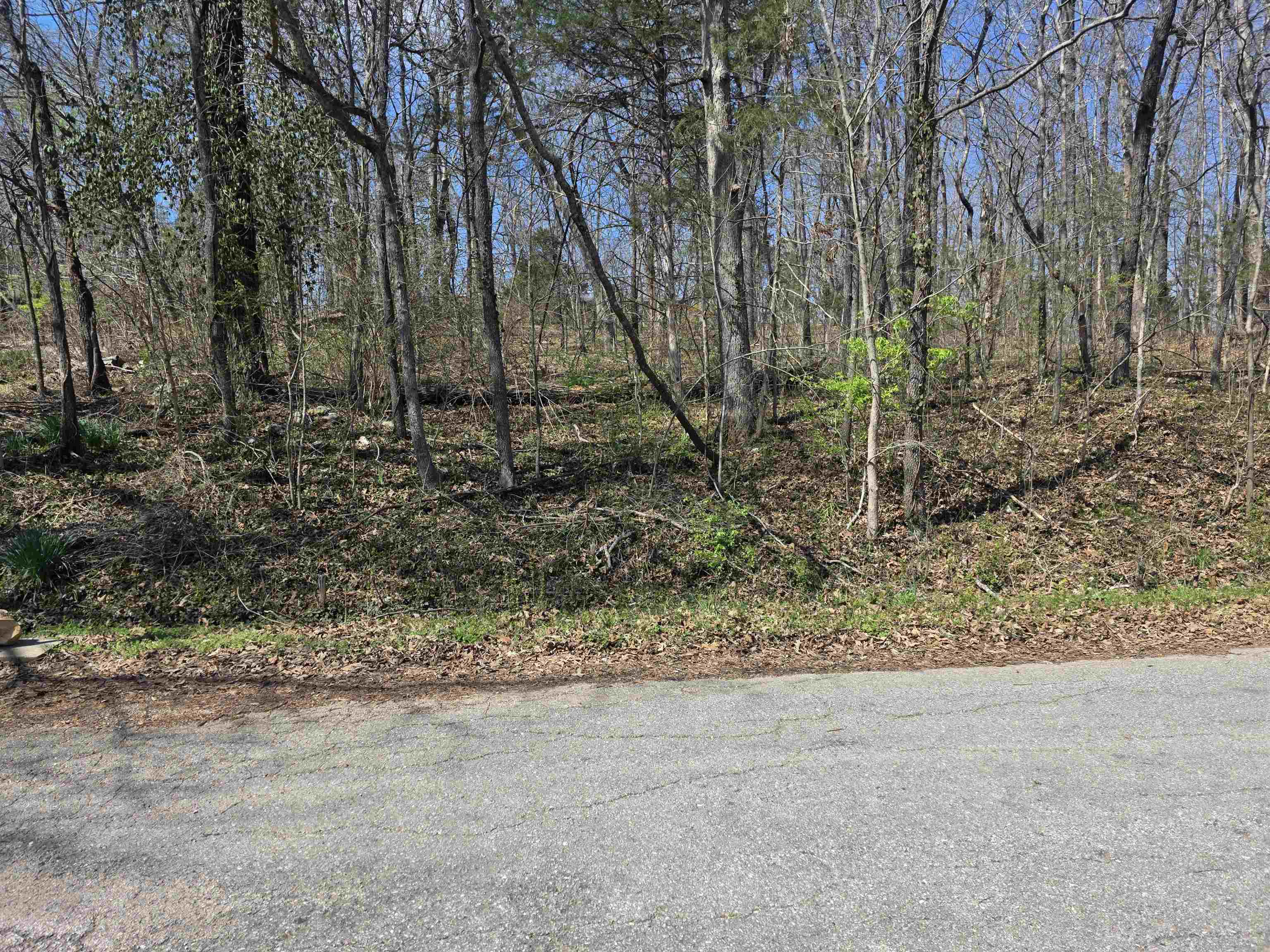 L33 B7 Navajo  Cherokee Village, AR