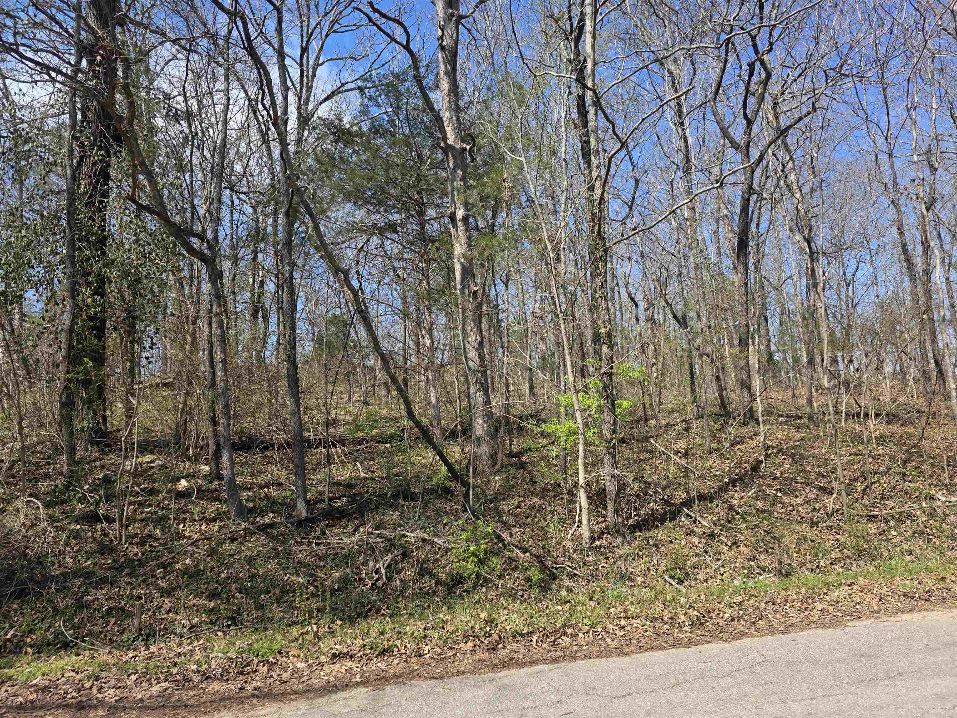 L33 B7 Navajo  Cherokee Village, AR