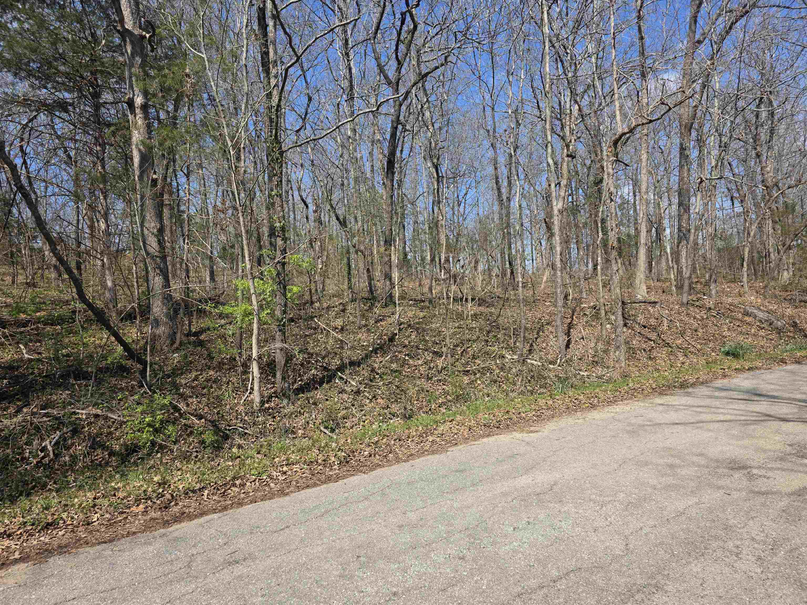 L33 B7 Navajo  Cherokee Village, AR