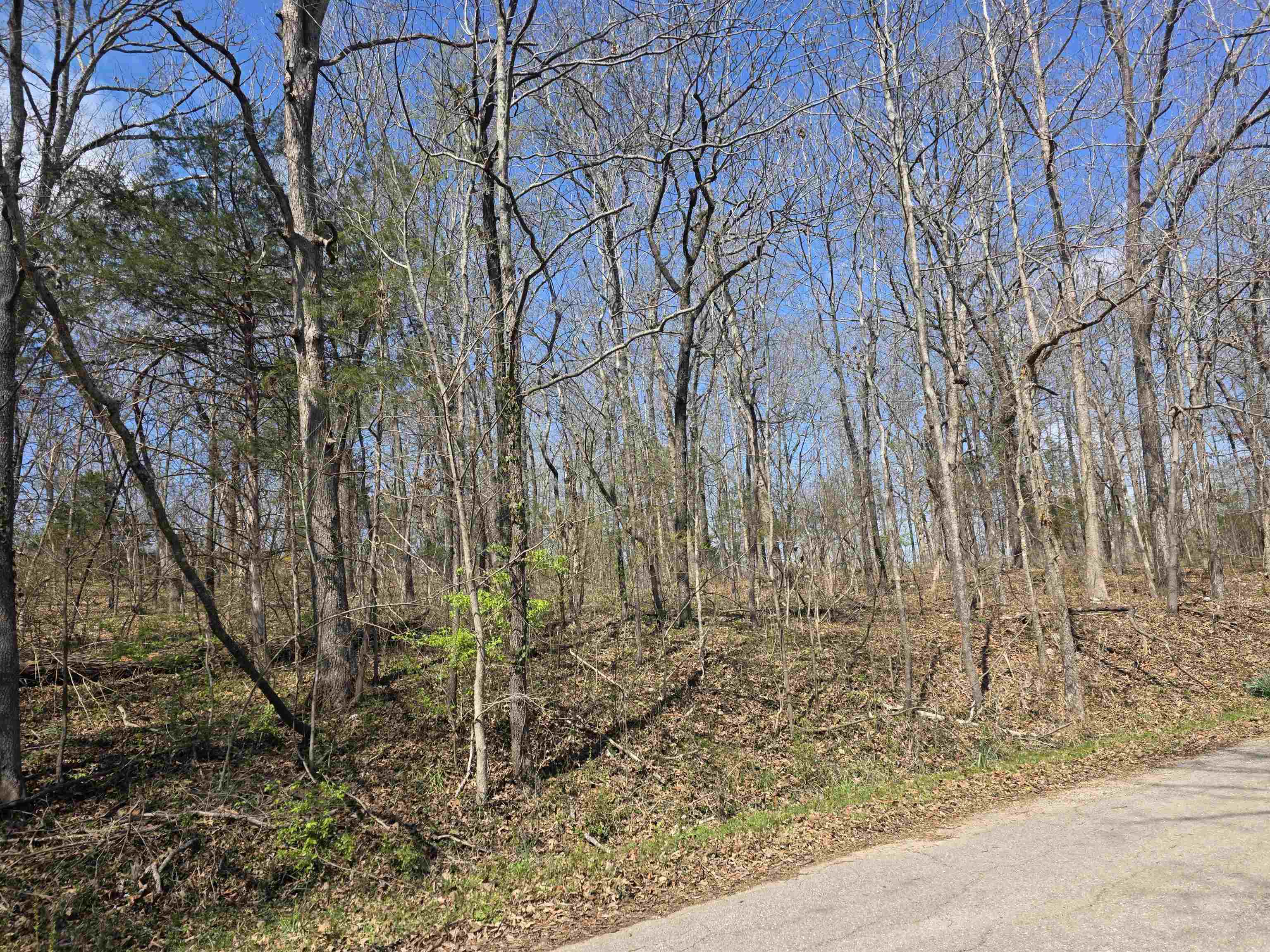 L33 B7 Navajo  Cherokee Village, AR