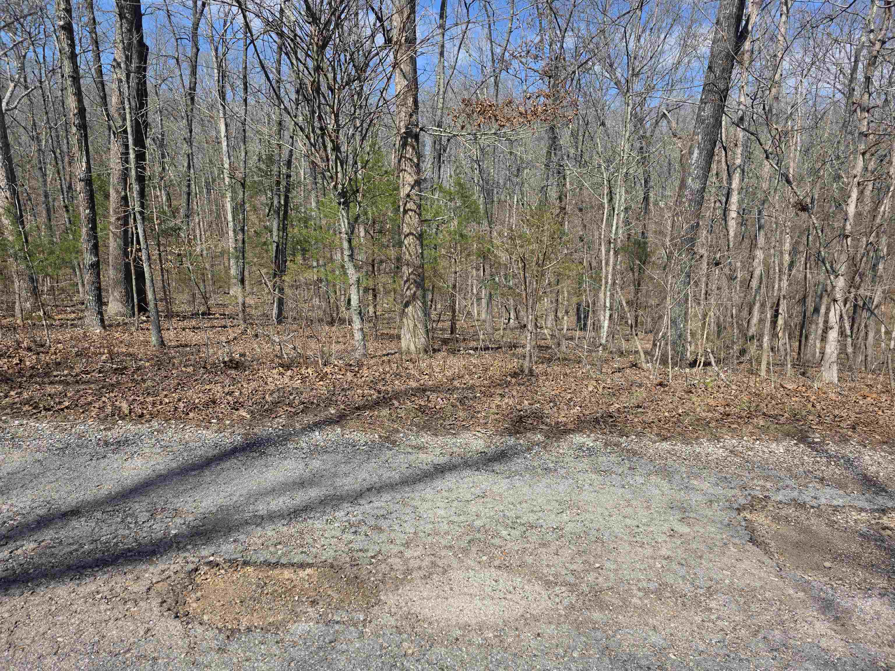 L12 B6 Navajo  Cherokee Village, AR