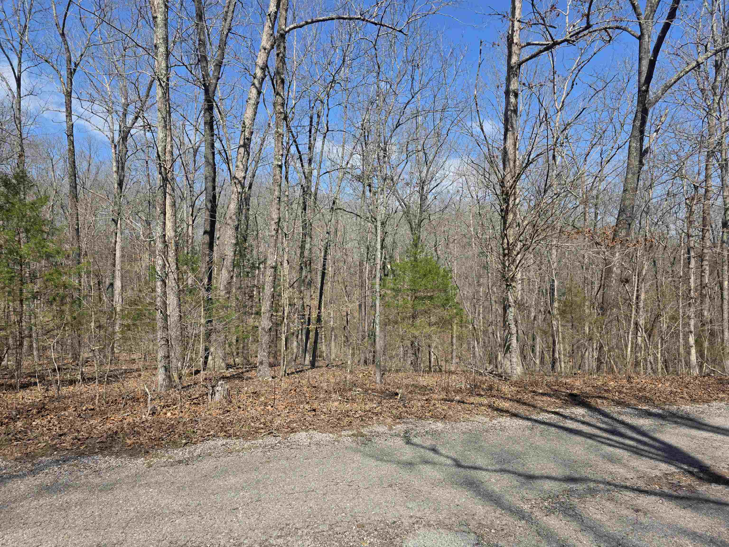 L12 B6 Navajo  Cherokee Village, AR