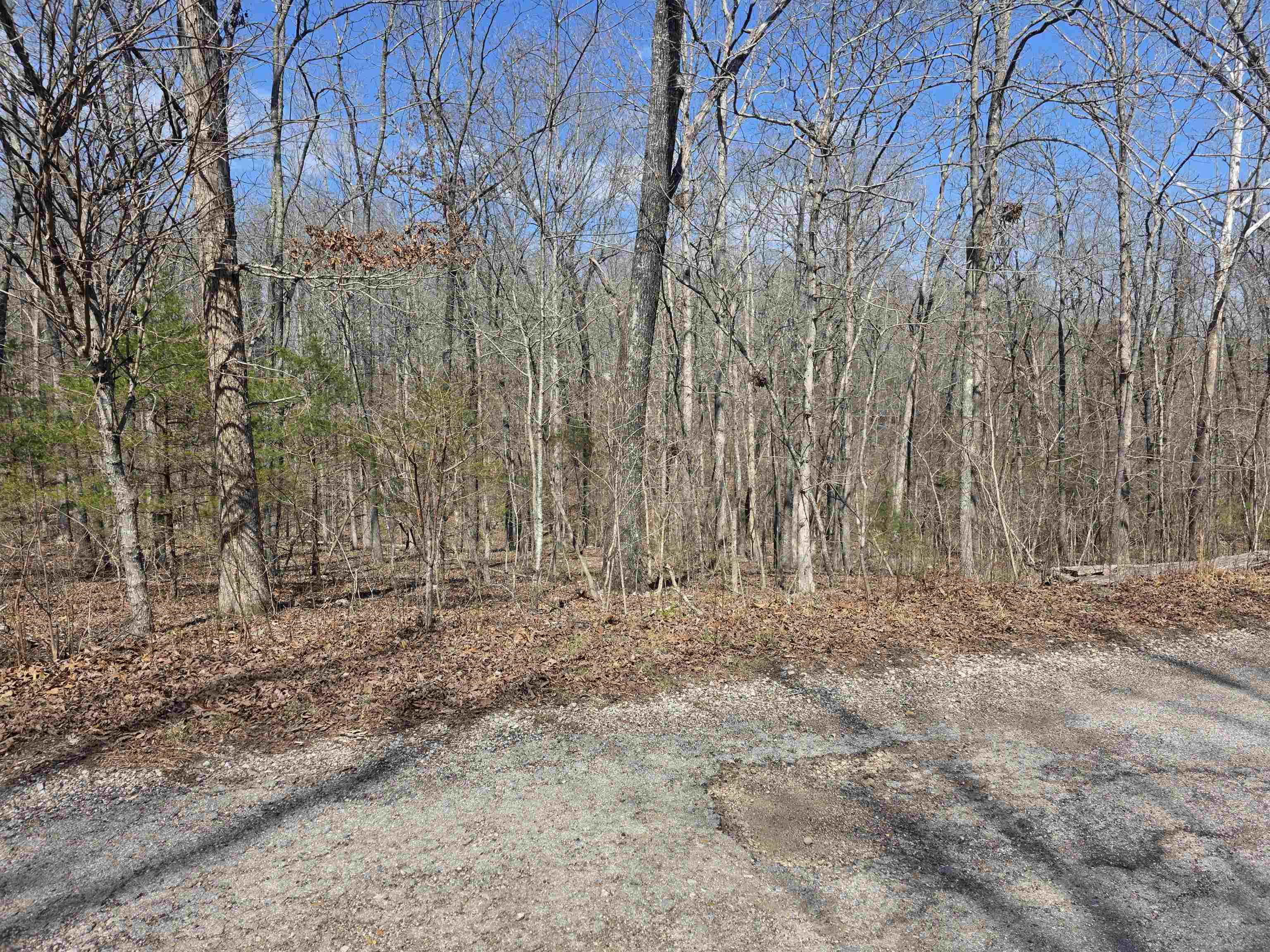 L12 B6 Navajo  Cherokee Village, AR