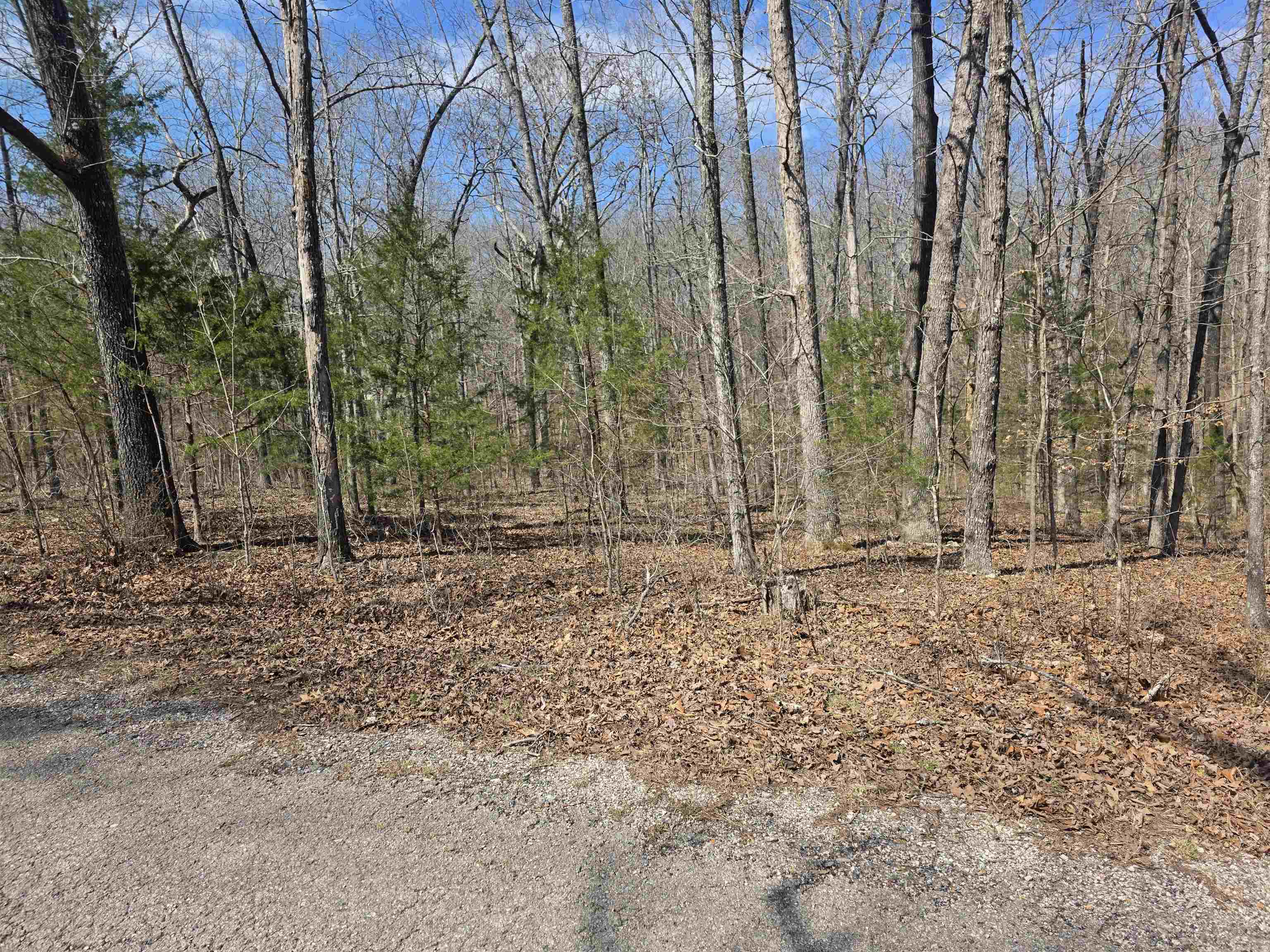 L12 B6 Navajo  Cherokee Village, AR