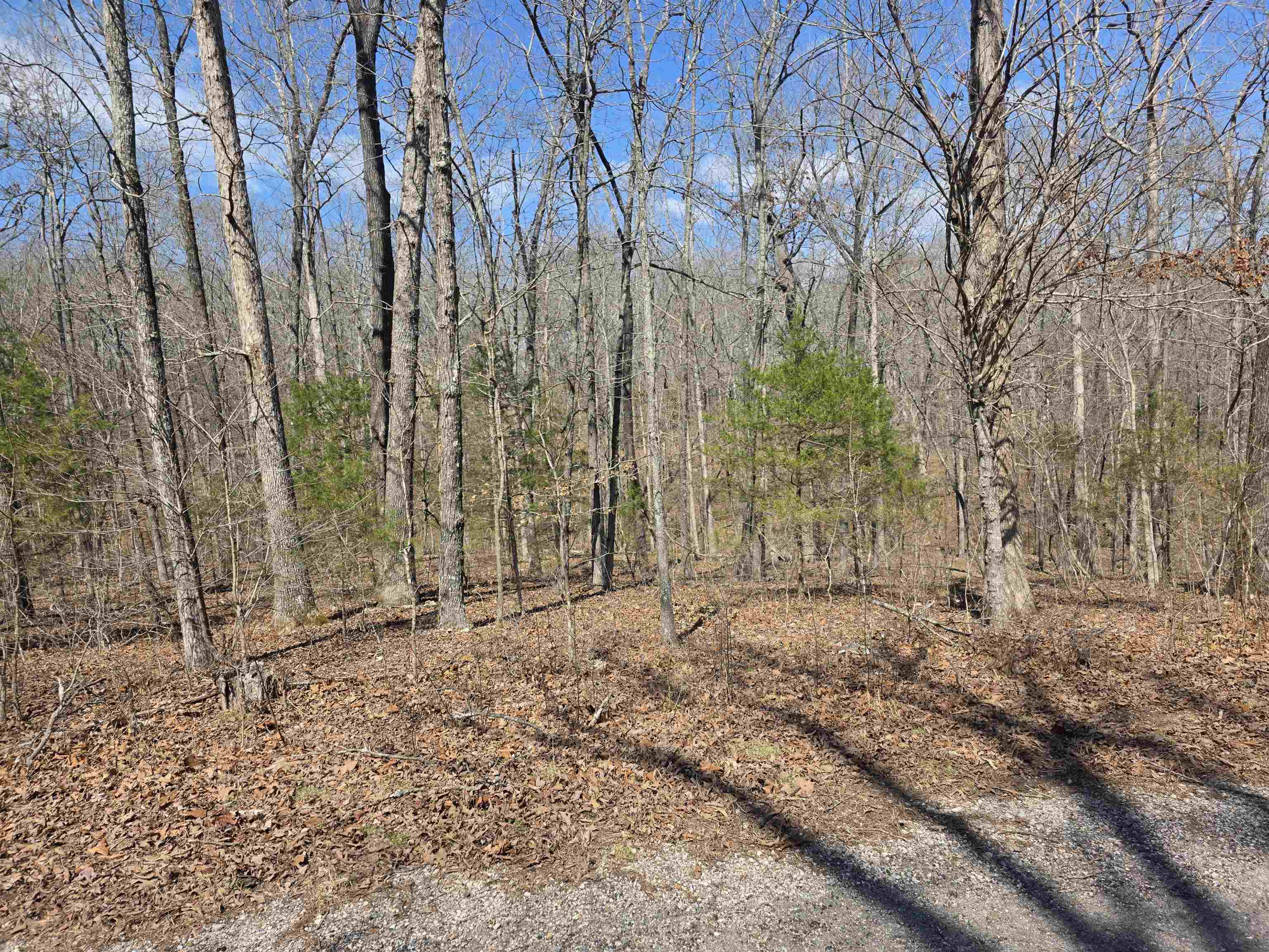 L12 B6 Navajo  Cherokee Village, AR