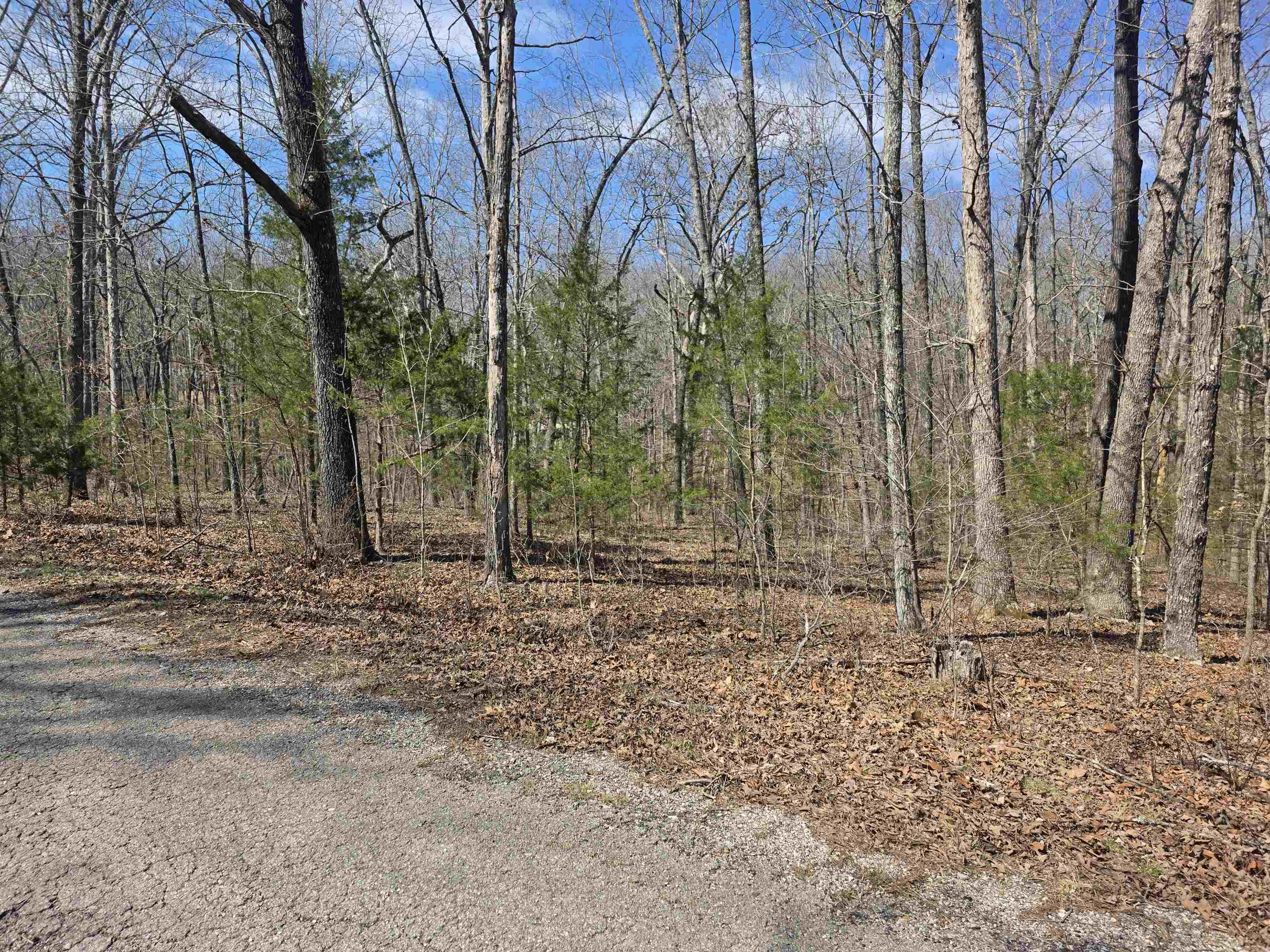 L12 B6 Navajo  Cherokee Village, AR