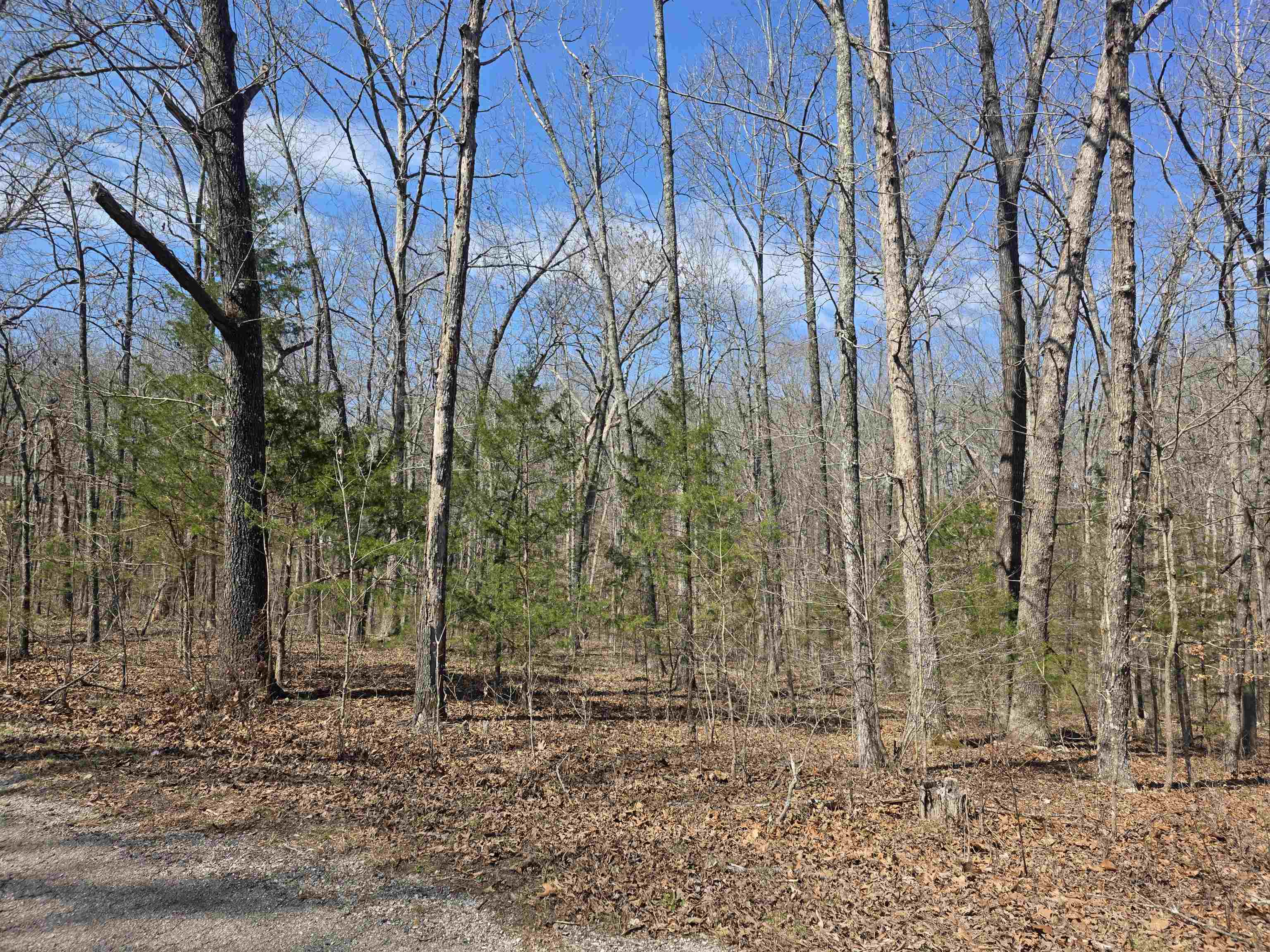 L12 B6 Navajo  Cherokee Village, AR