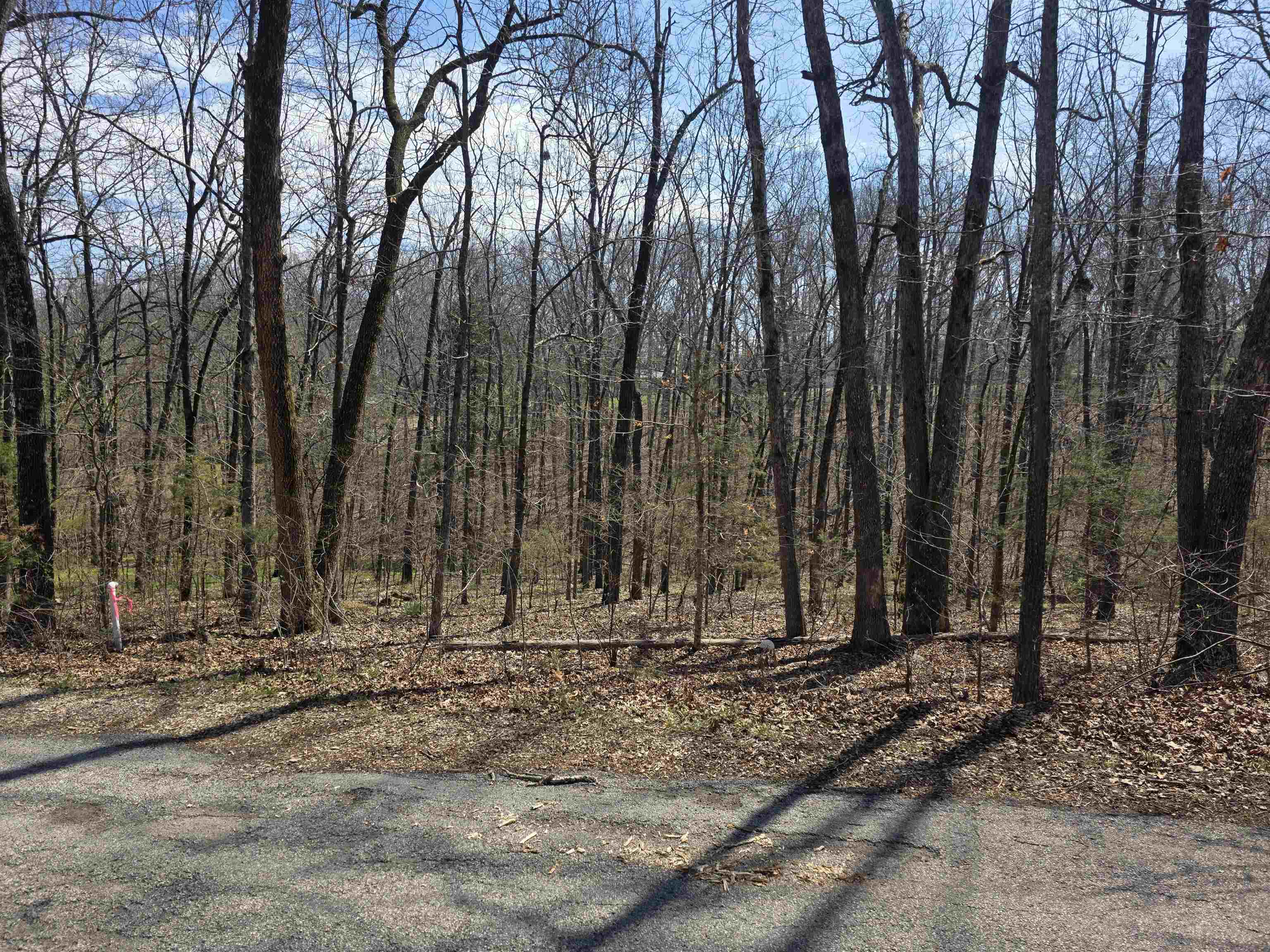 L25 B4 Keno  Cherokee Village, AR