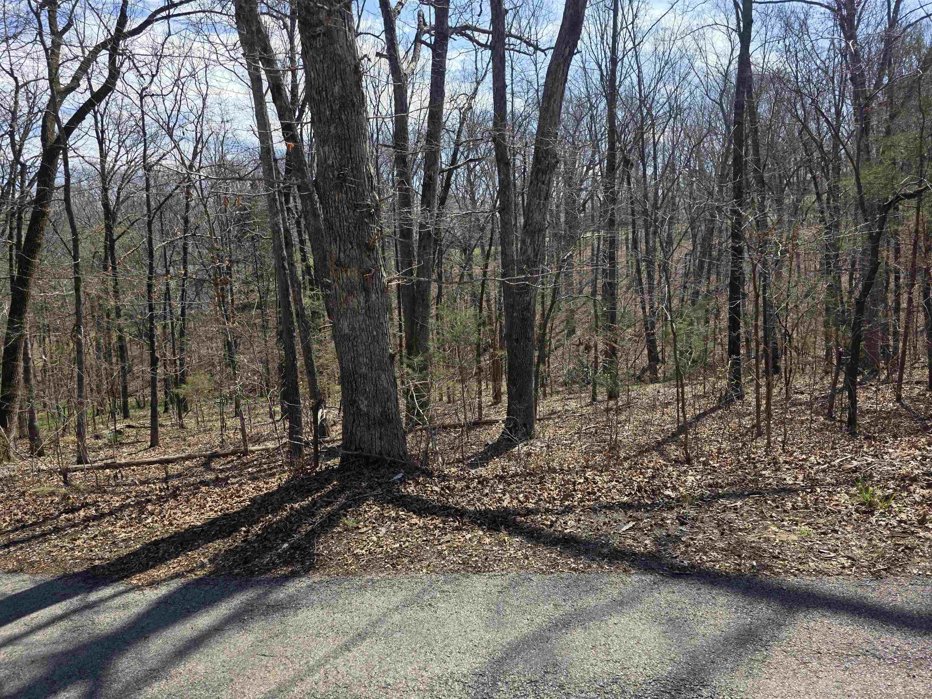 L25 B4 Keno  Cherokee Village, AR