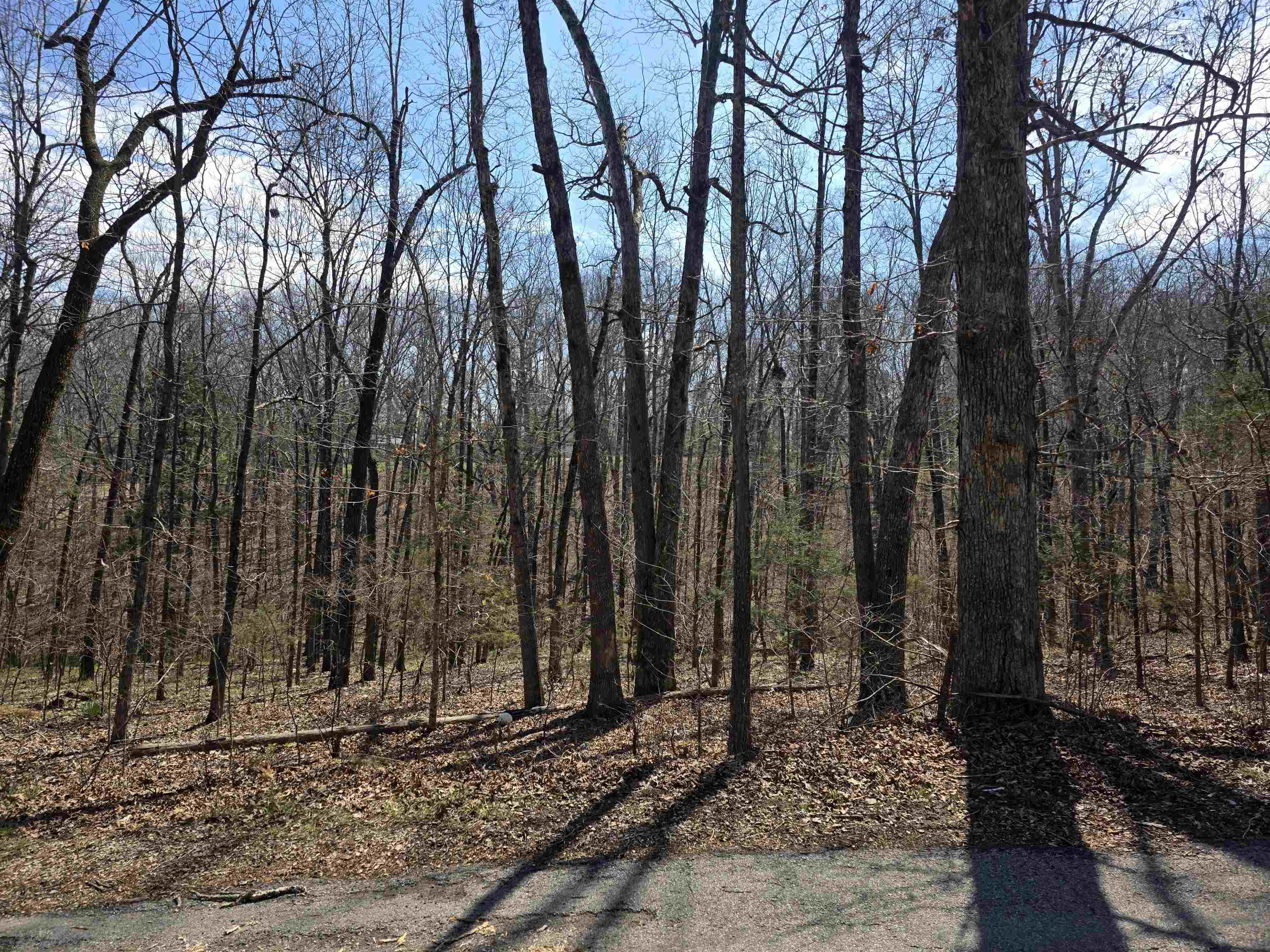 L25 B4 Keno  Cherokee Village, AR