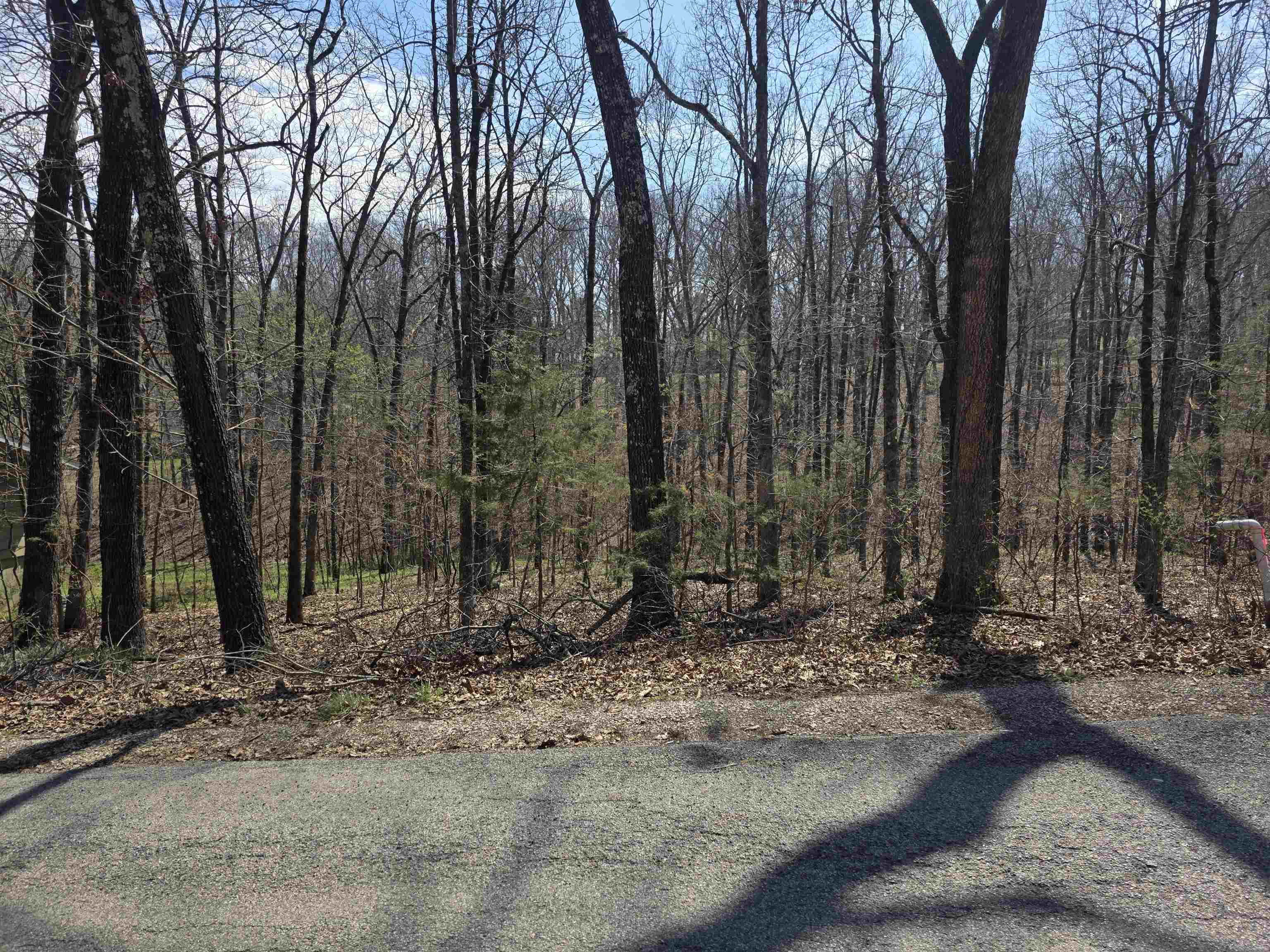 L25 B4 Keno  Cherokee Village, AR