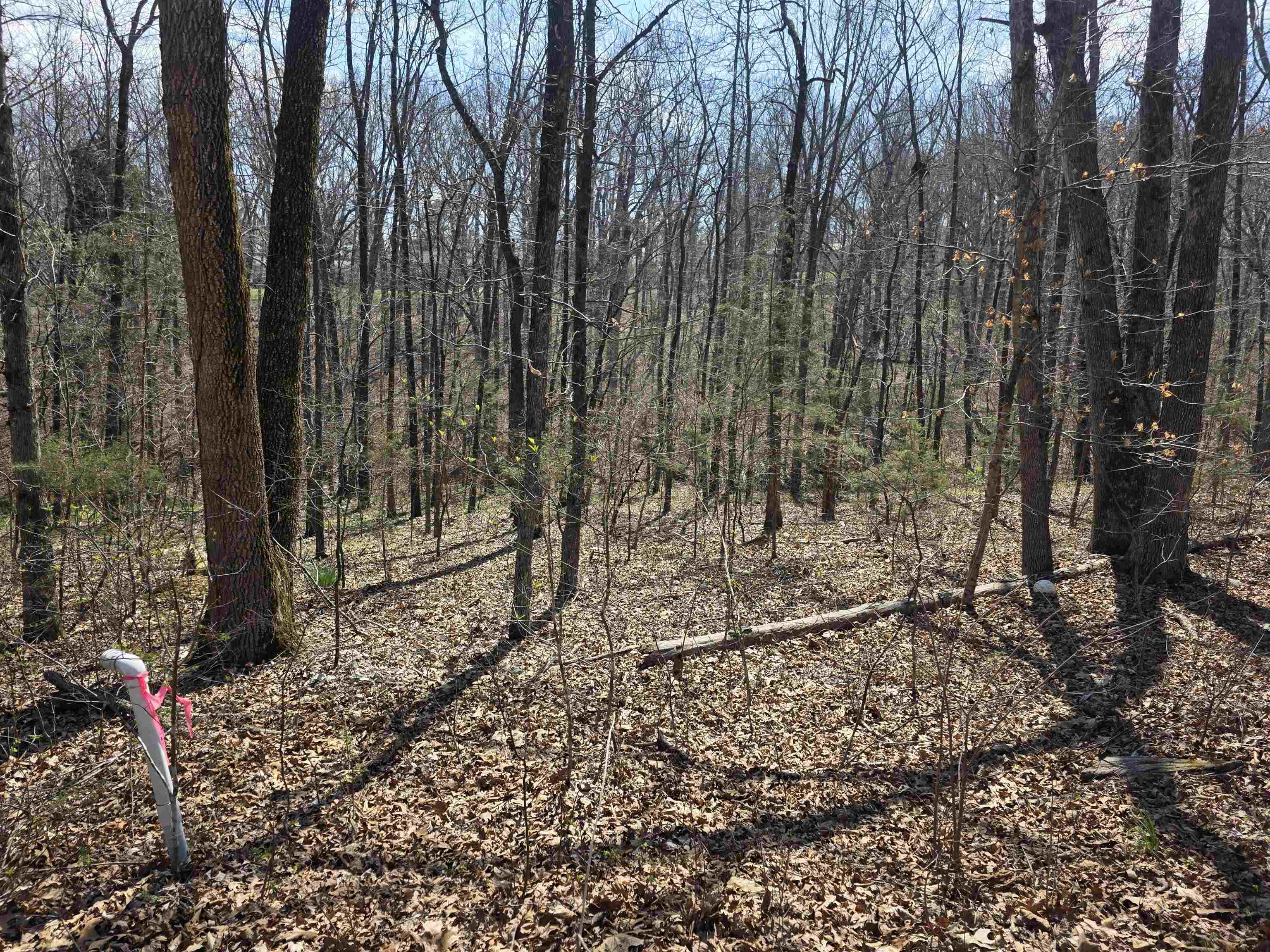 L25 B4 Keno  Cherokee Village, AR