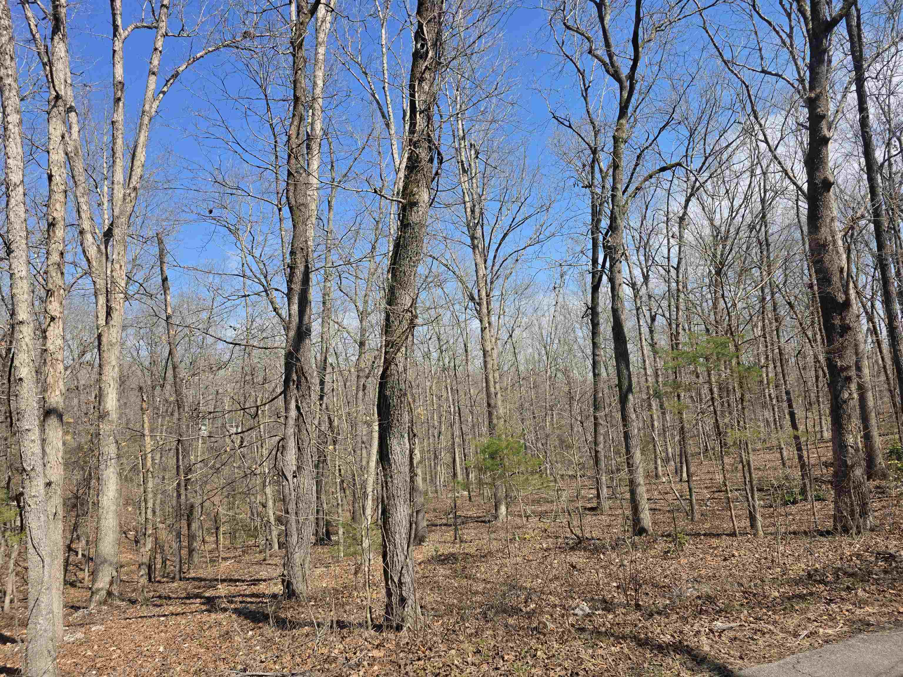 L18 B4 Powhatan  Cherokee Village, AR