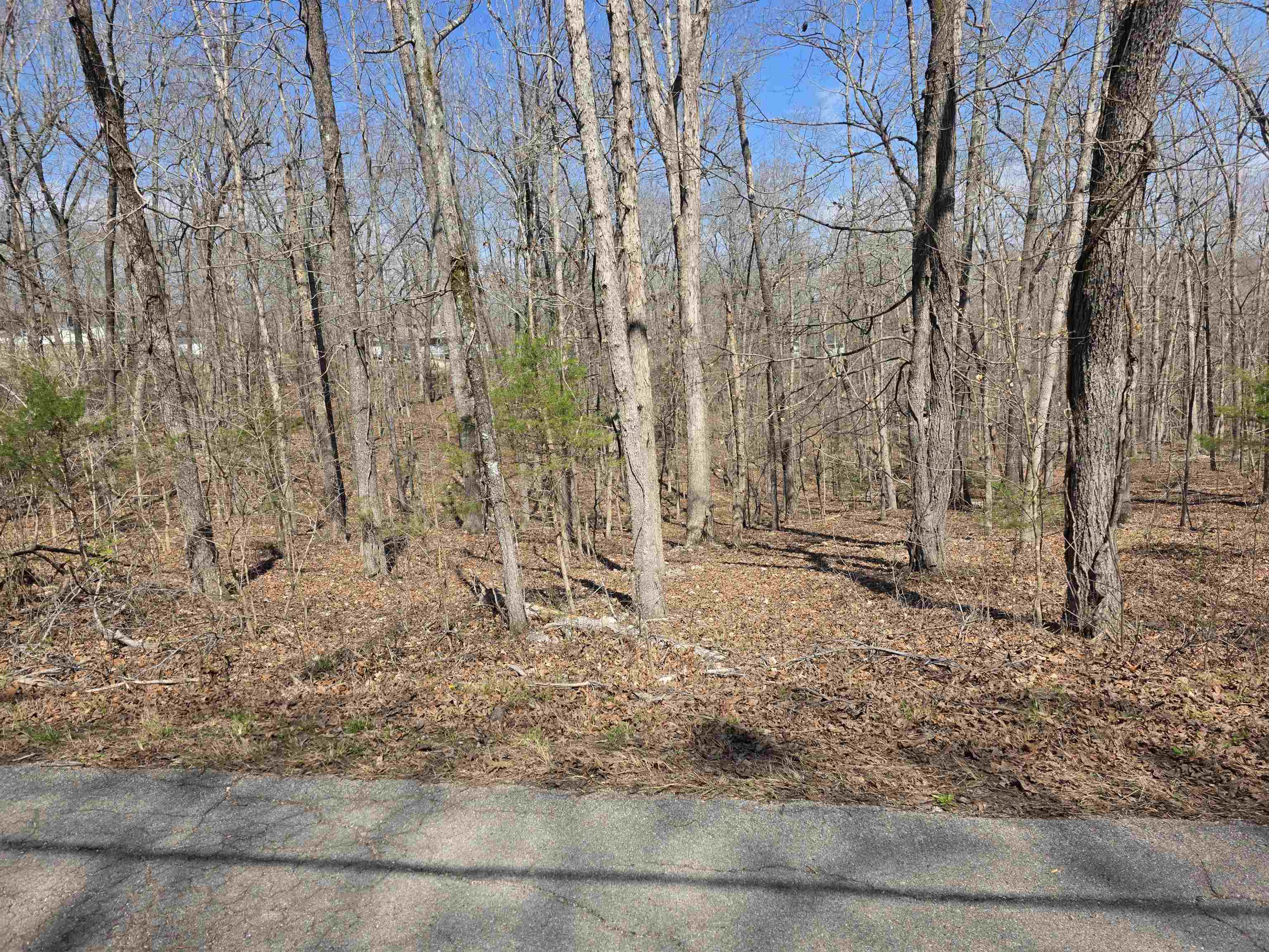 L18 B4 Powhatan  Cherokee Village, AR