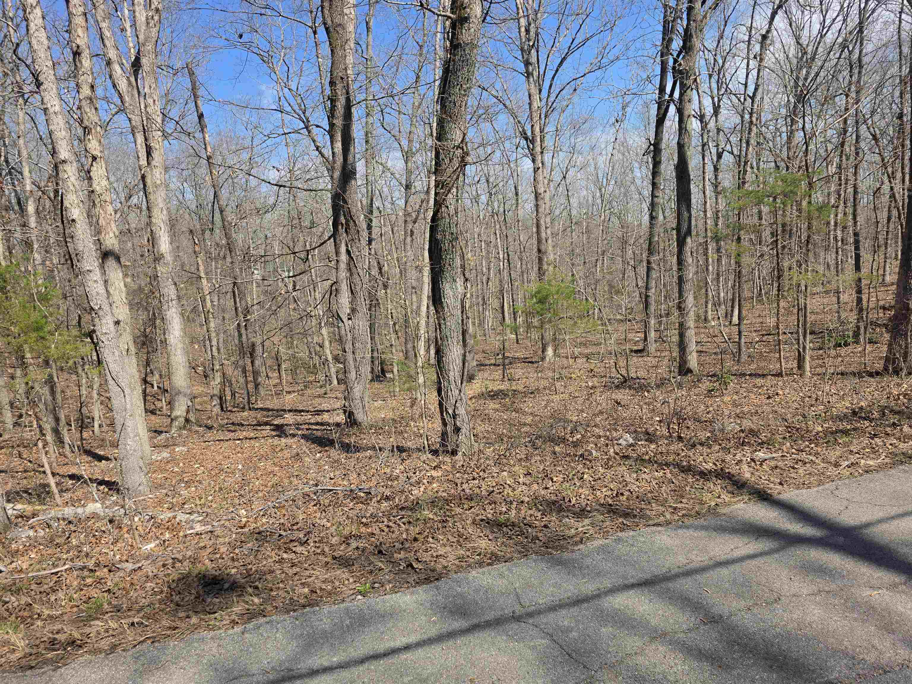 L18 B4 Powhatan  Cherokee Village, AR