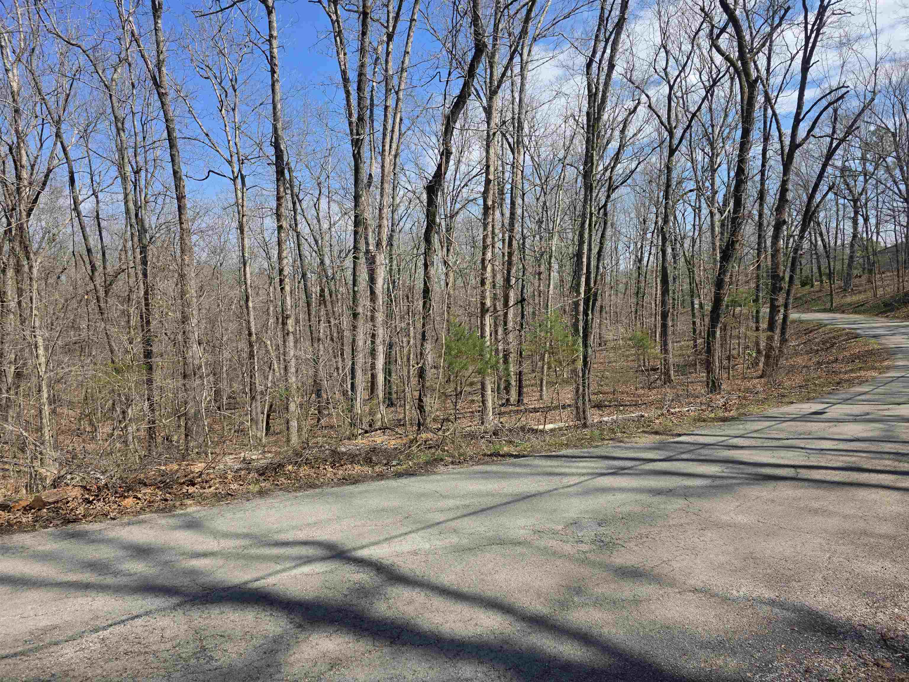 L18 B4 Powhatan  Cherokee Village, AR