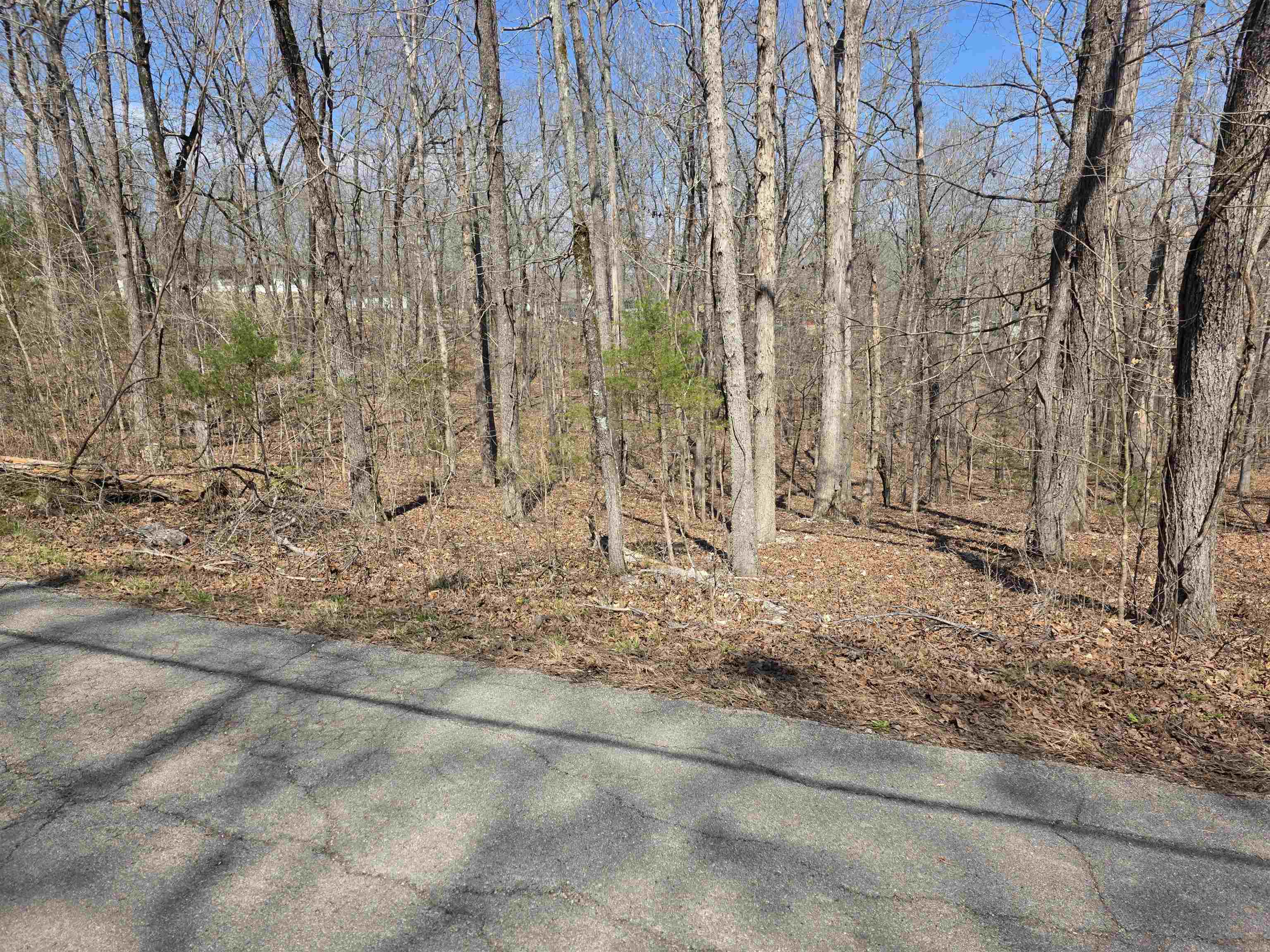 L18 B4 Powhatan  Cherokee Village, AR