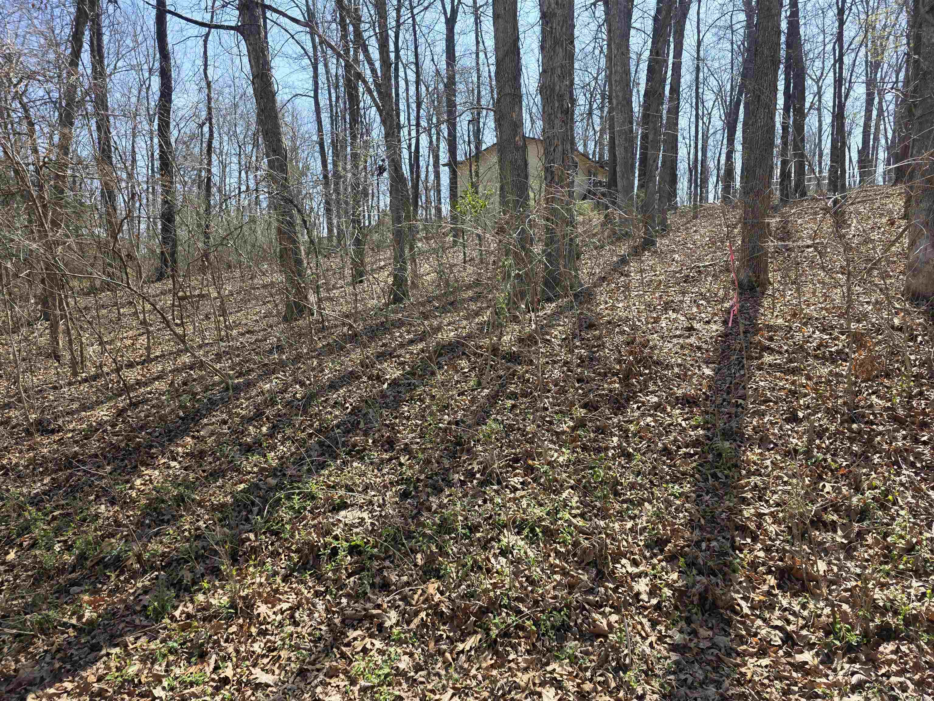 L35 B2 Powhatan  Cherokee Village, AR