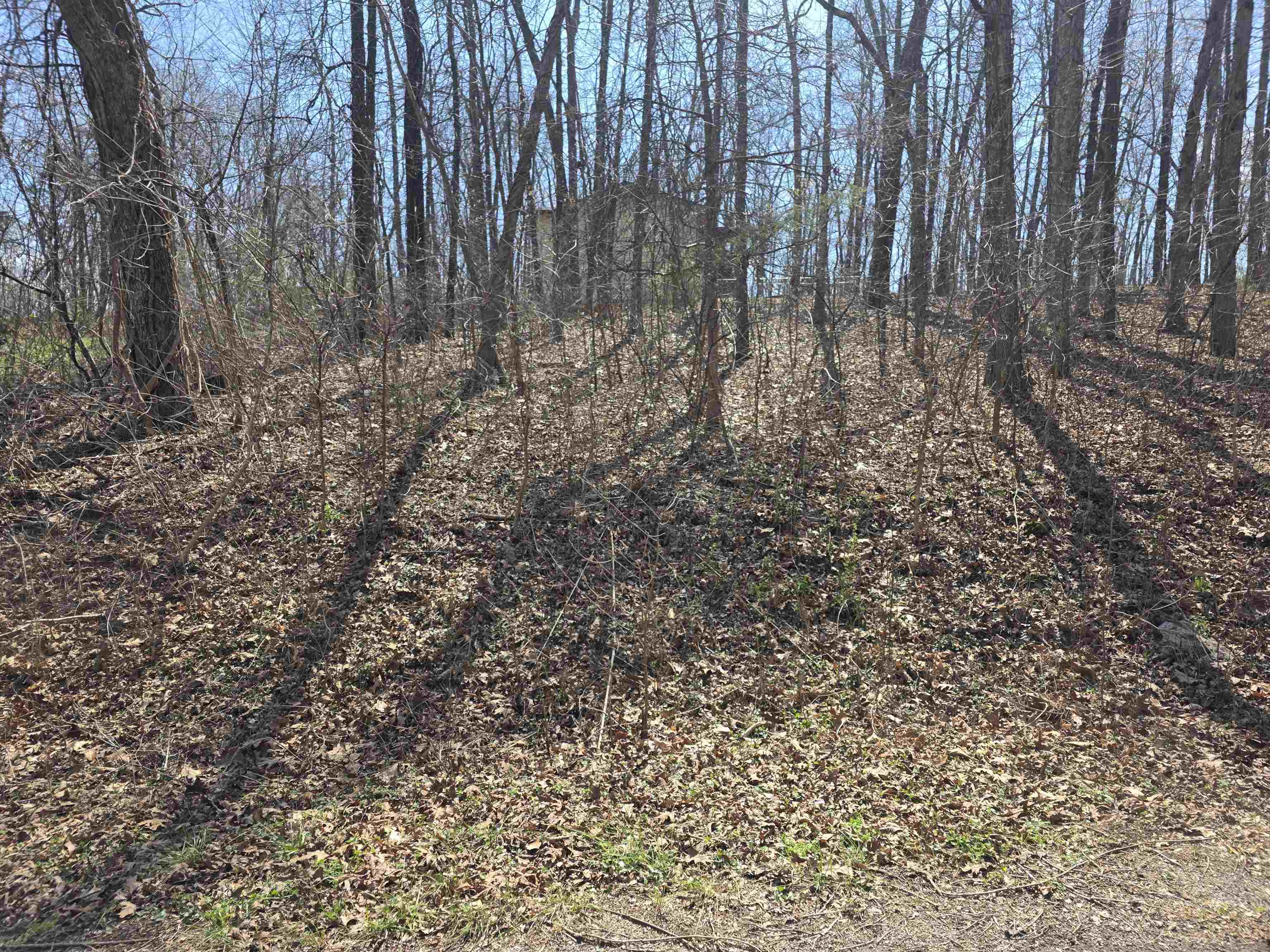 L35 B2 Powhatan  Cherokee Village, AR