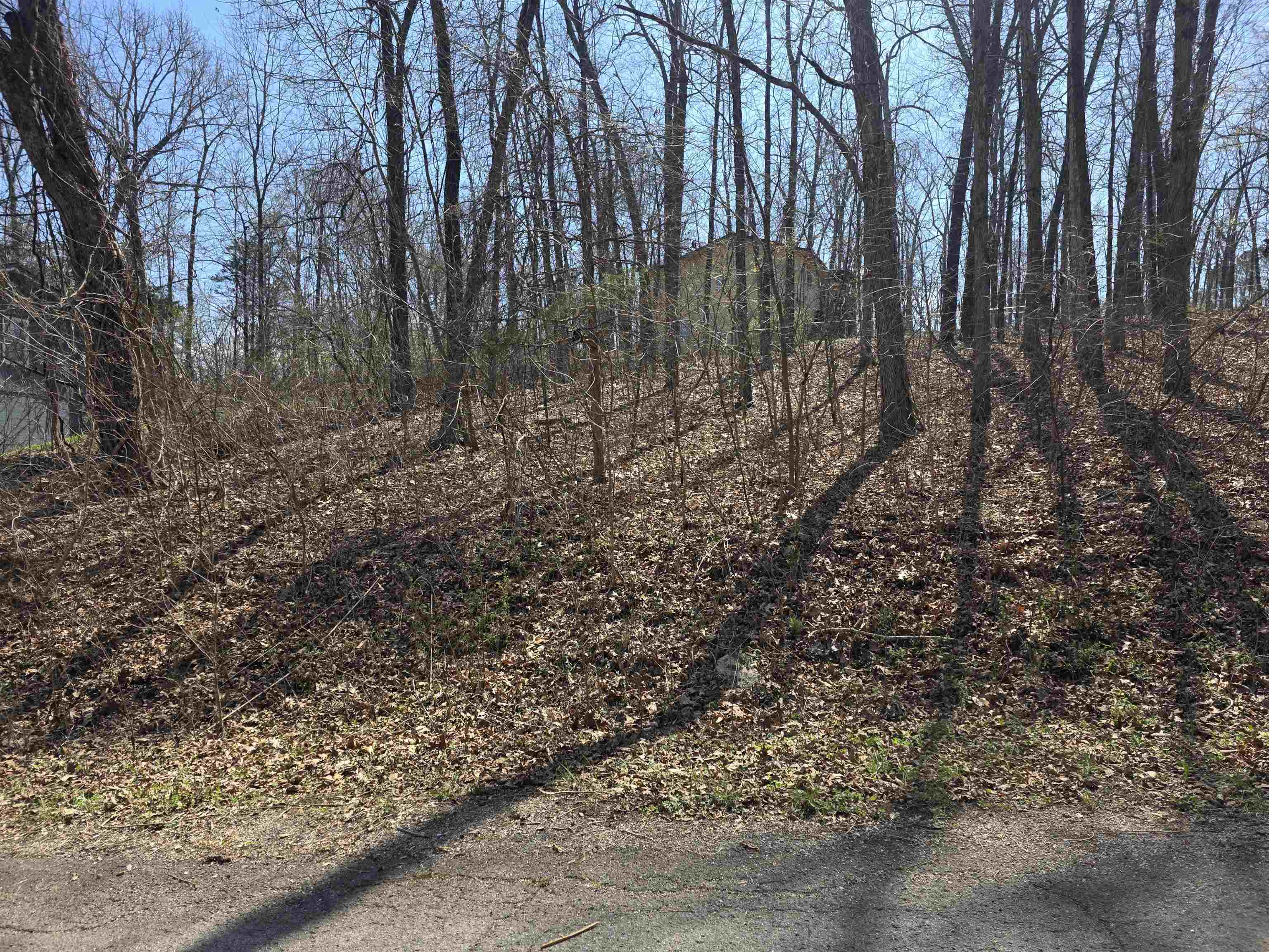 L35 B2 Powhatan  Cherokee Village, AR