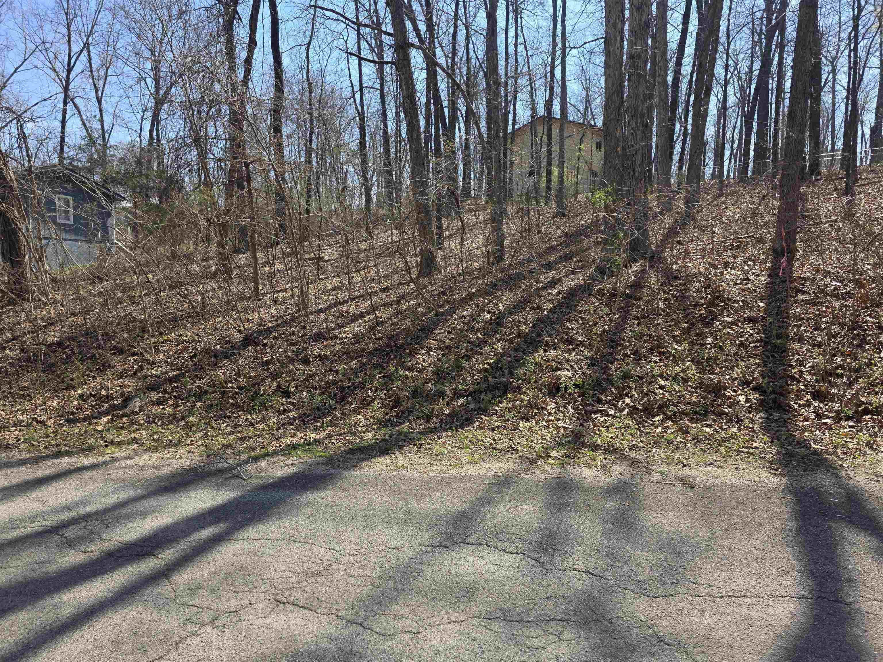 L35 B2 Powhatan  Cherokee Village, AR