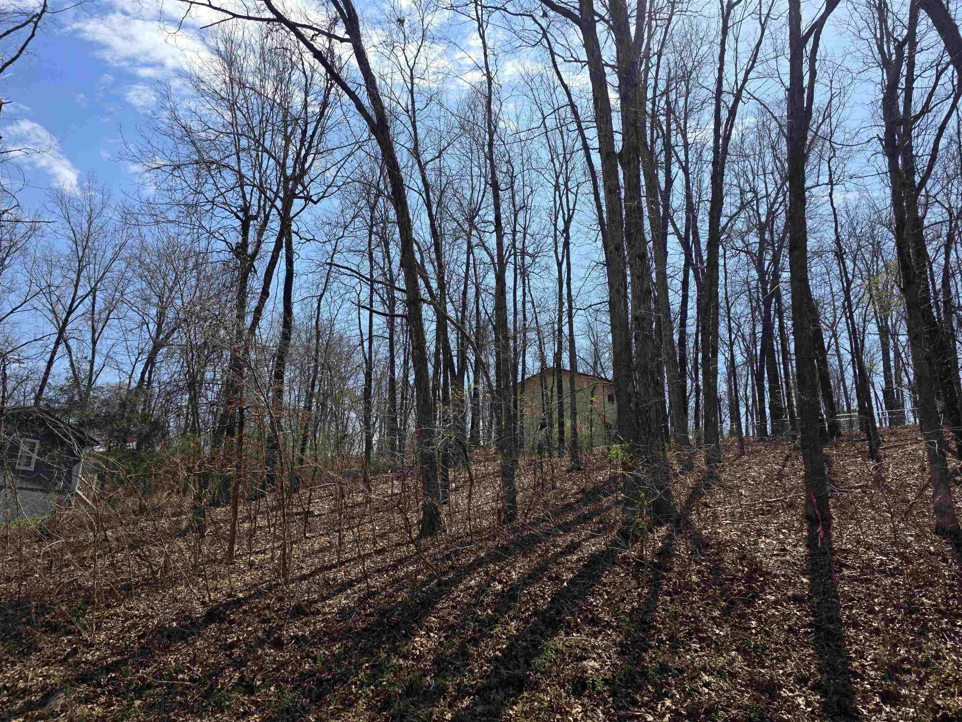 L35 B2 Powhatan  Cherokee Village, AR