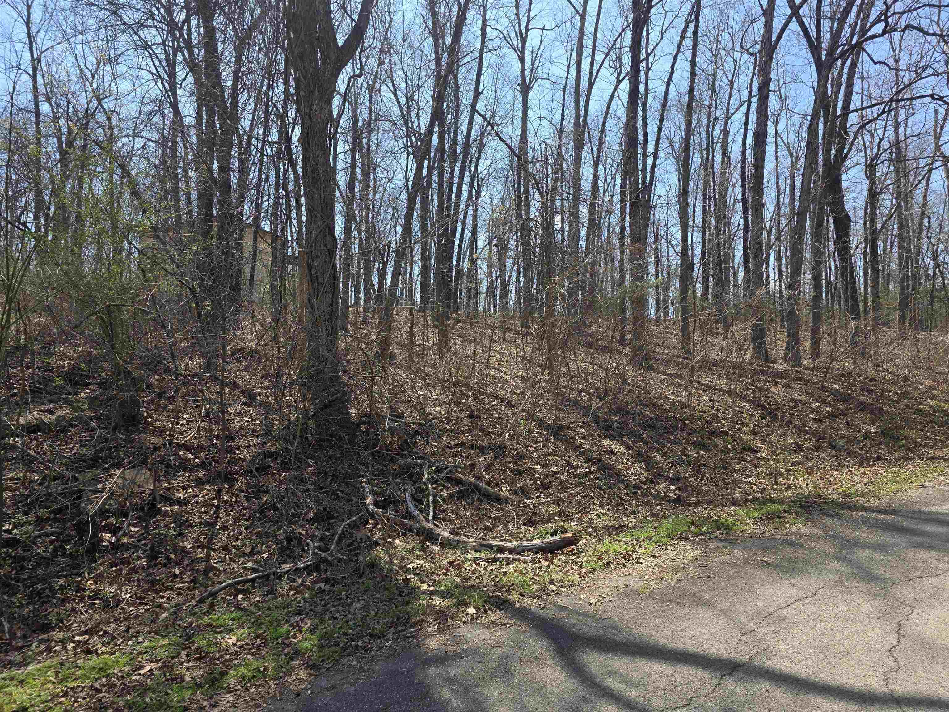 L35 B2 Powhatan  Cherokee Village, AR