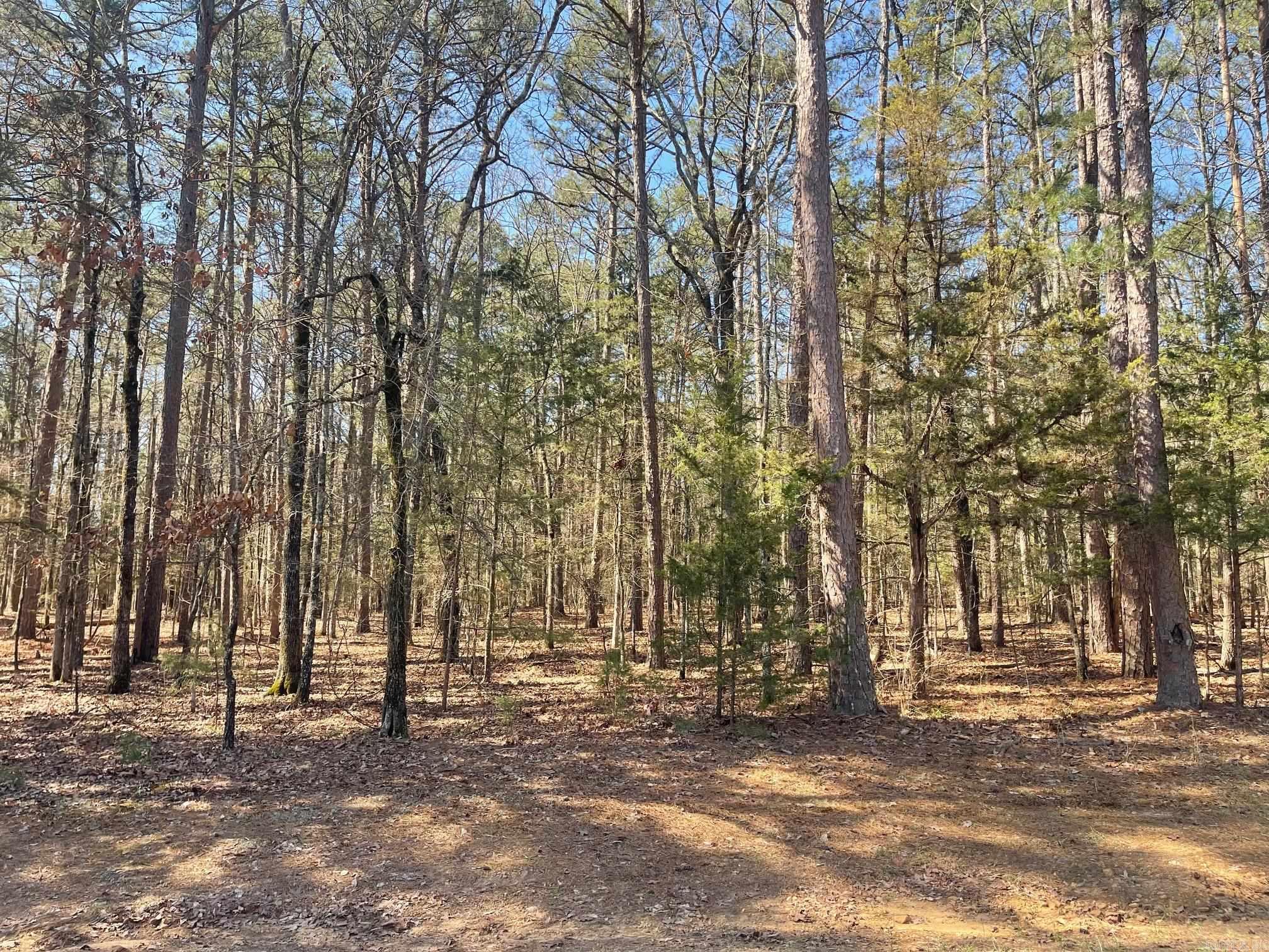 000 Santa Lucia  Fairfield Bay, AR