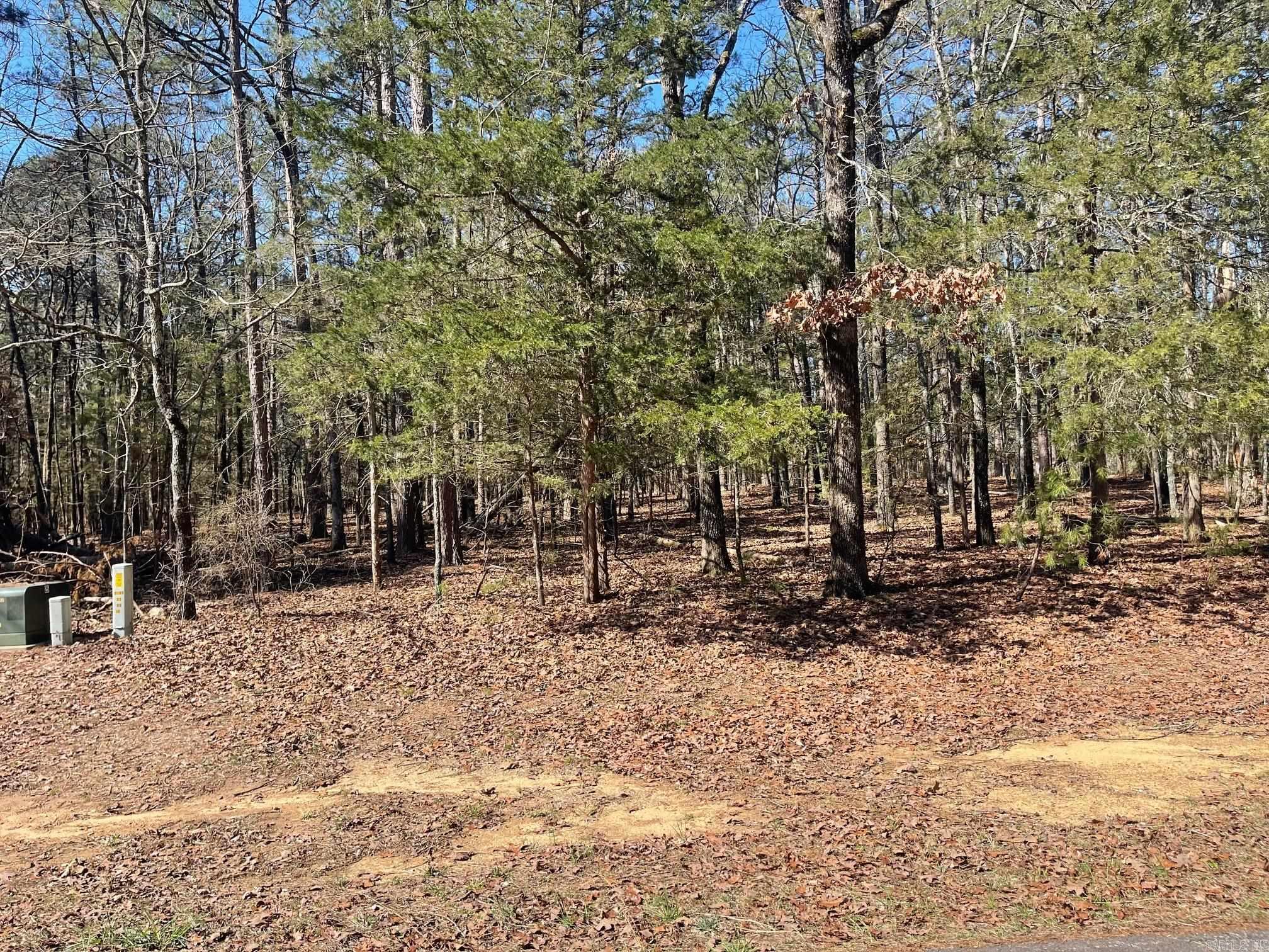 000 Santa Lucia  Fairfield Bay, AR