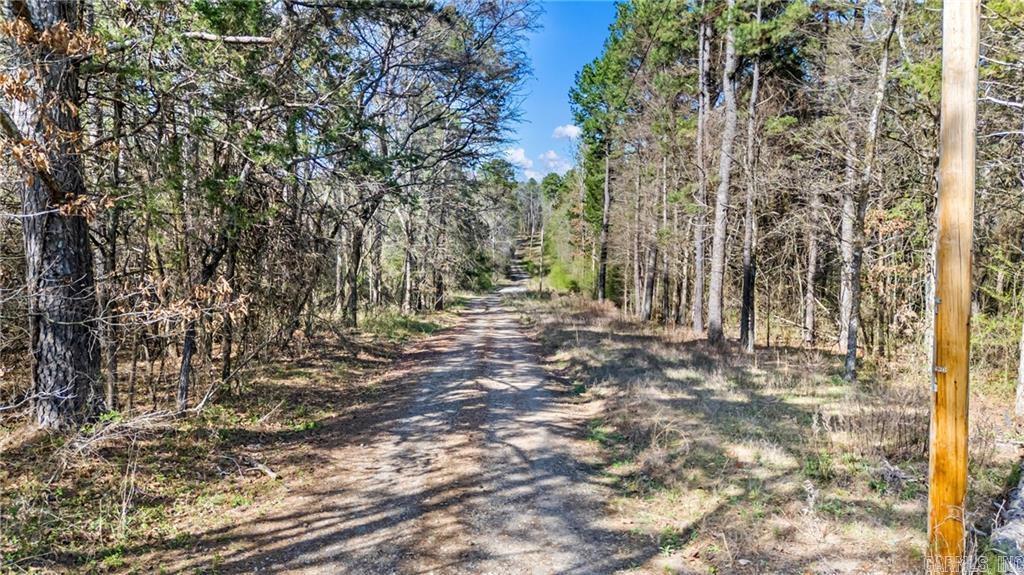 400 Owen Wait  Dover, AR