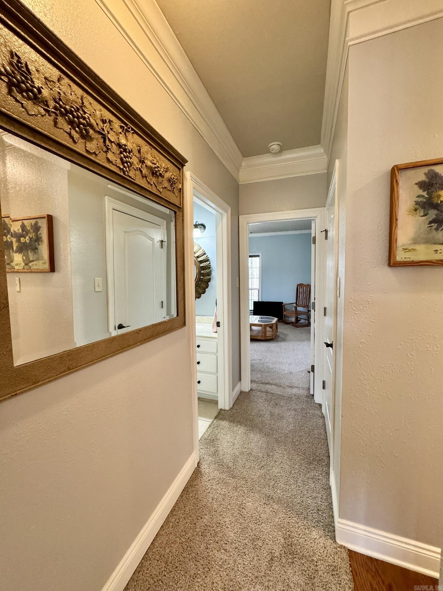 63 Hudson Branch  Austin, AR