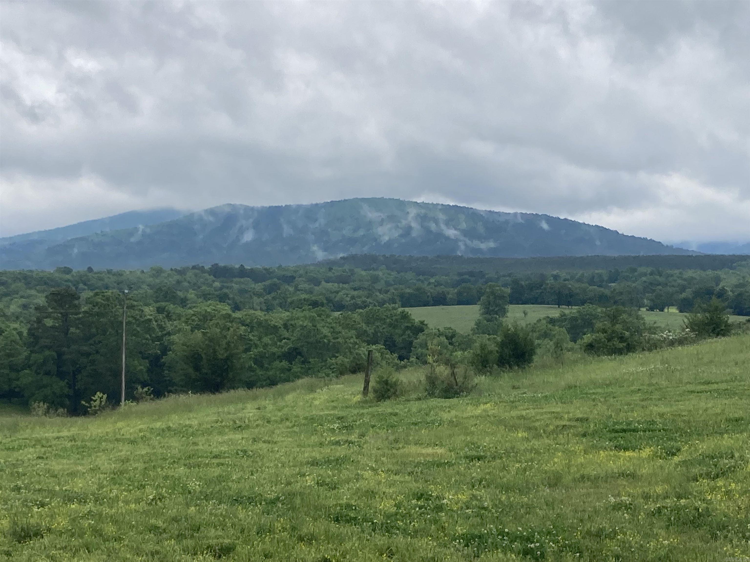 TBD. 62 acres Polk Road 85  Mena, AR