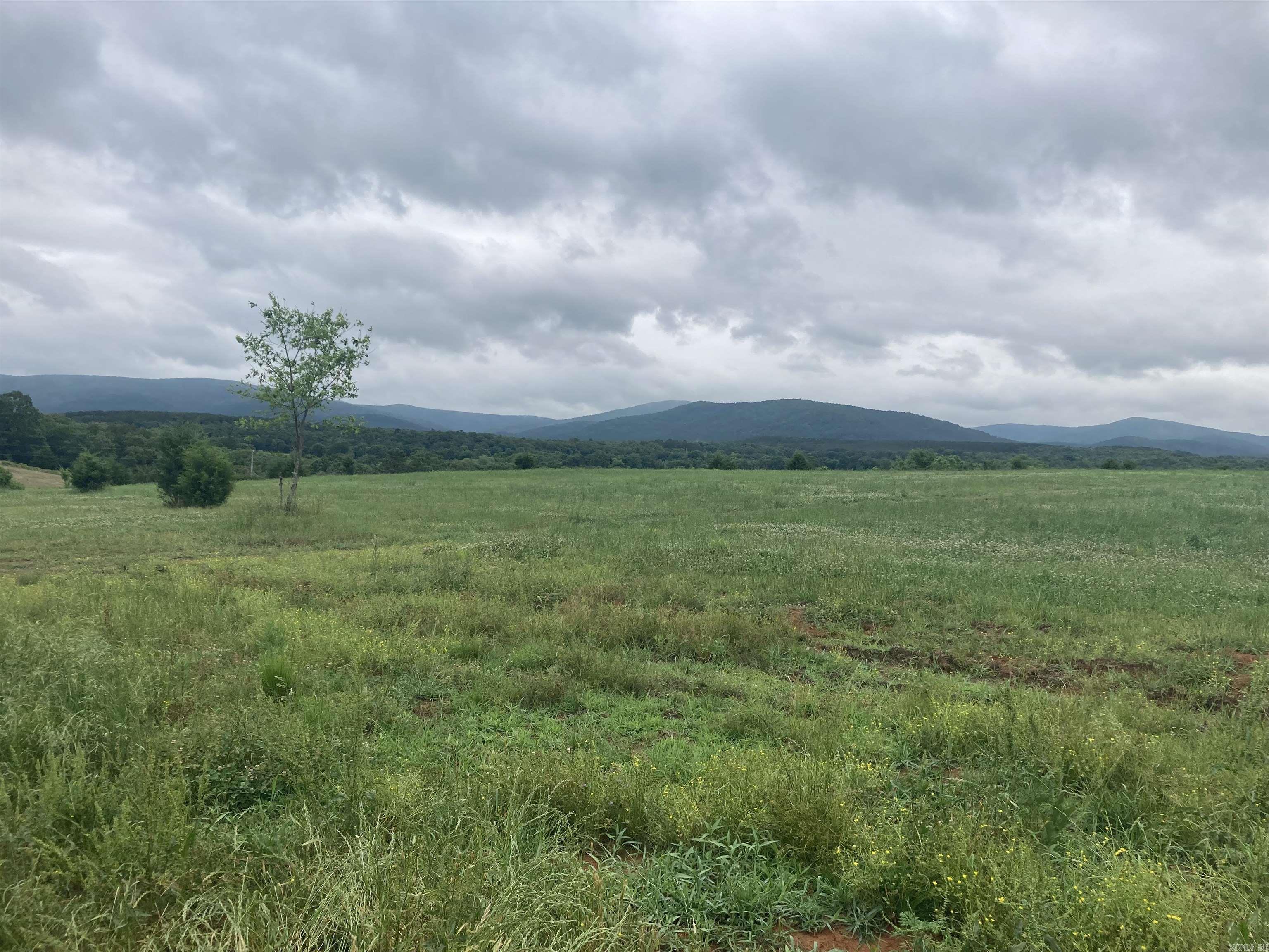 TBD. 62 acres Polk Road 85  Mena, AR