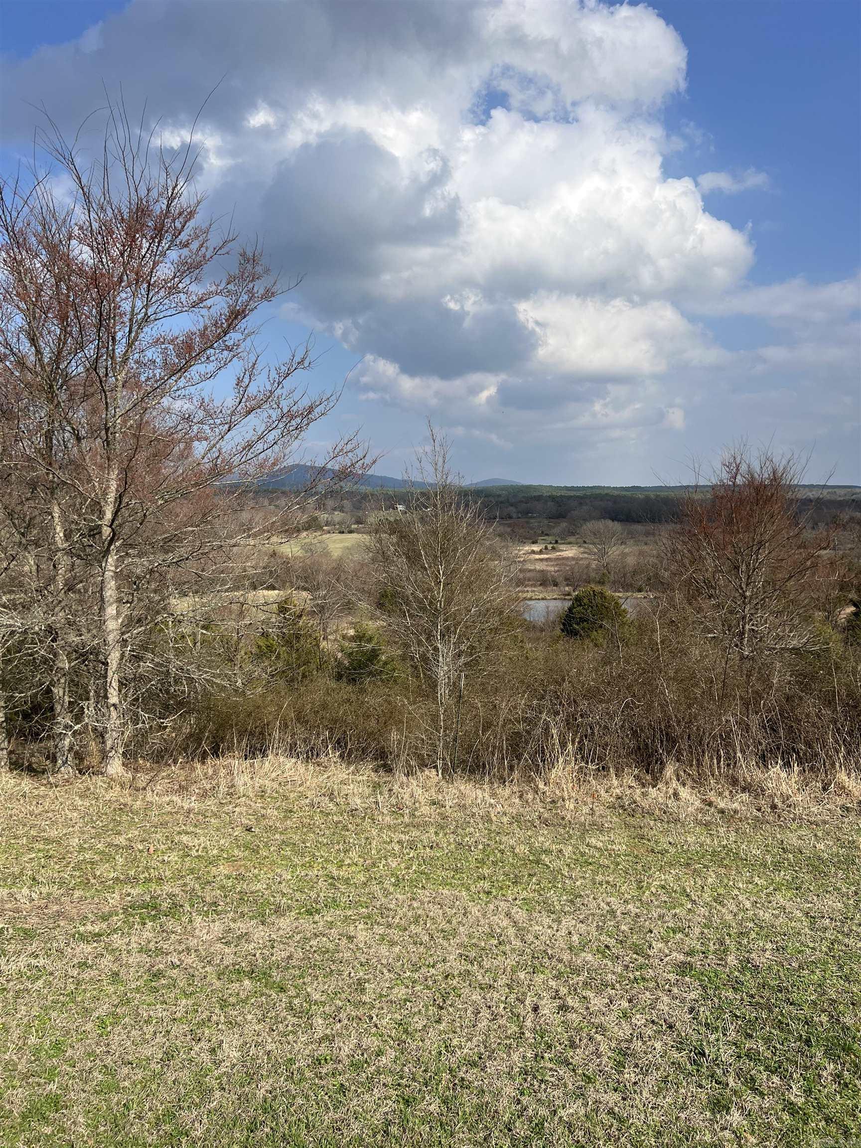 TBD. 62 acres Polk Road 85  Mena, AR