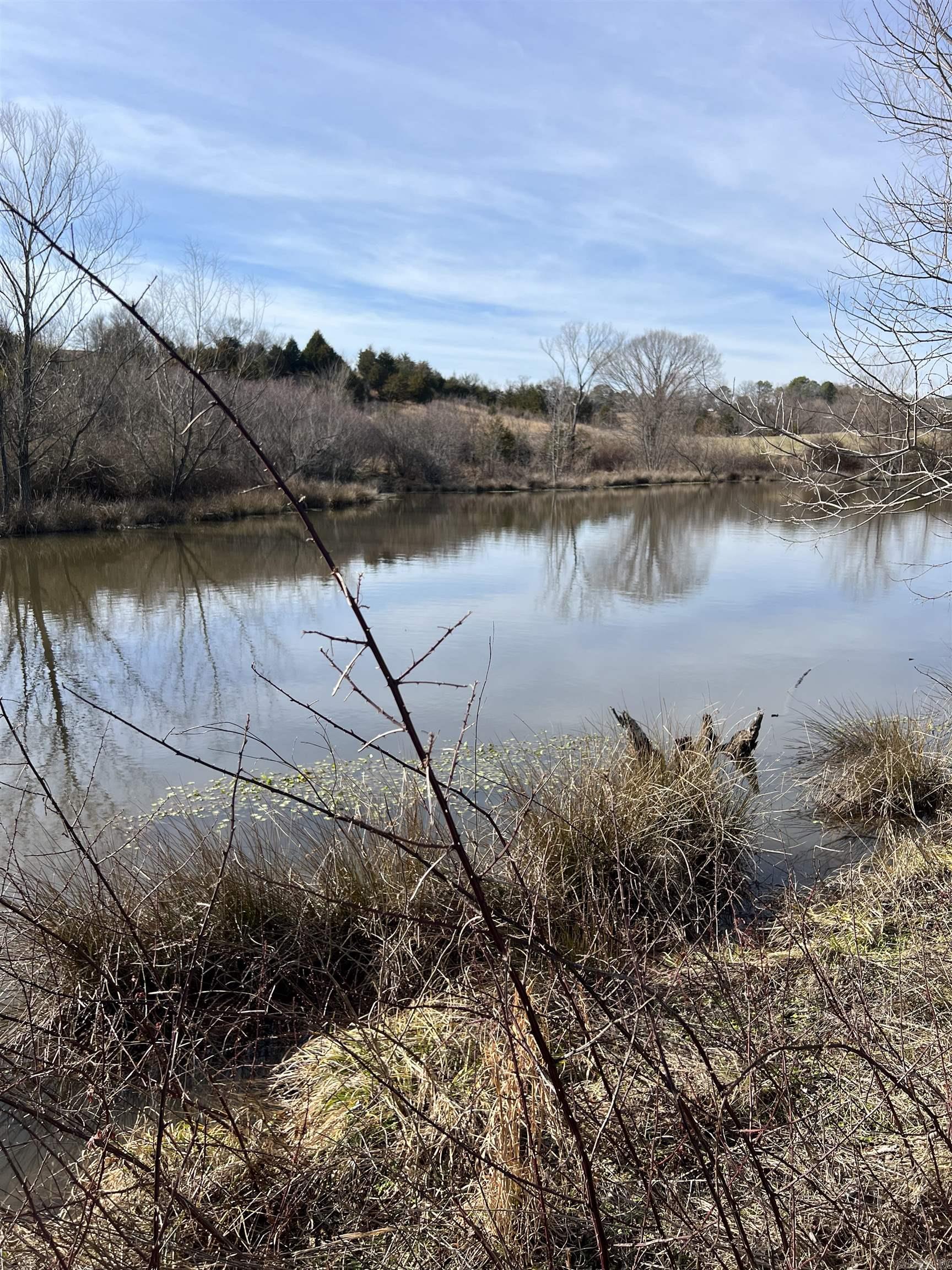 TBD. 62 acres Polk Road 85  Mena, AR