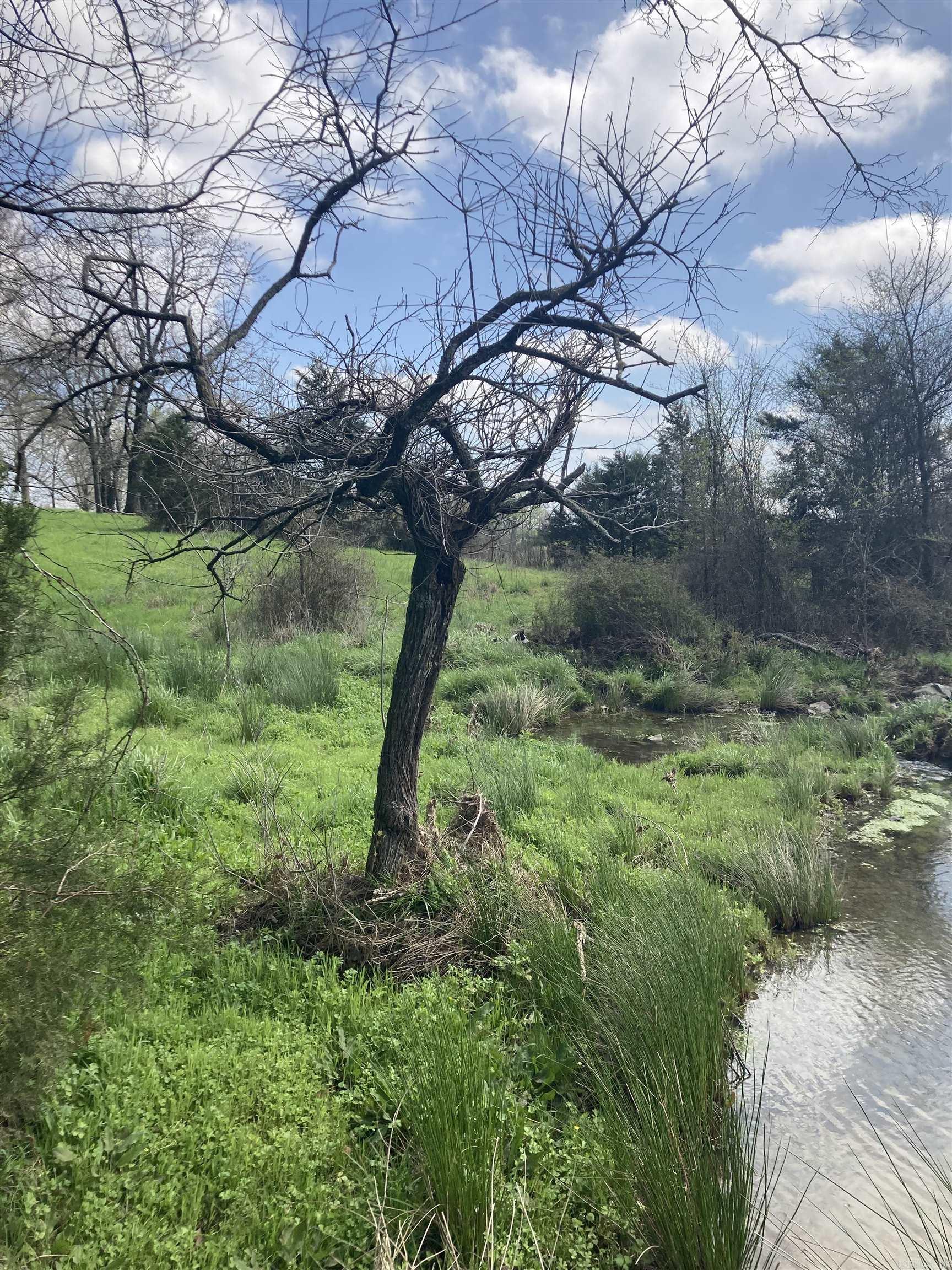 TBD. 62 acres Polk Road 85  Mena, AR