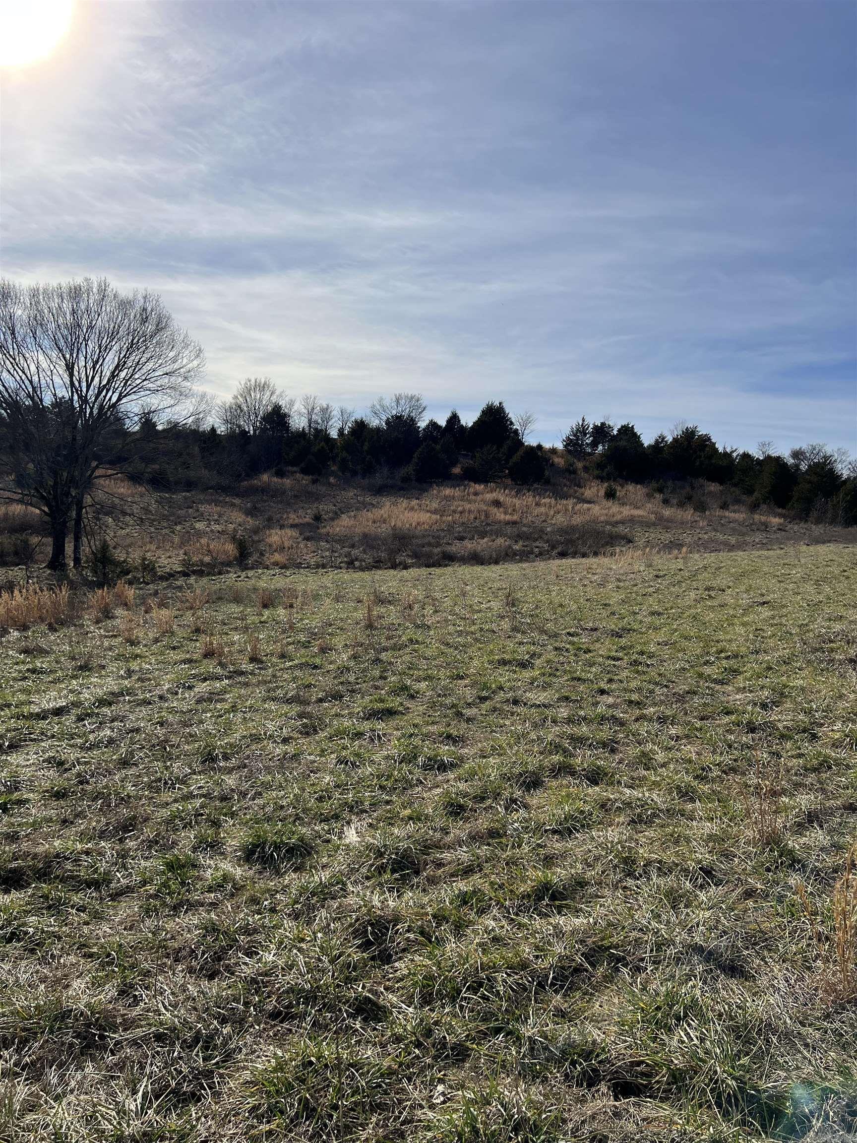 TBD. 62 acres Polk Road 85  Mena, AR