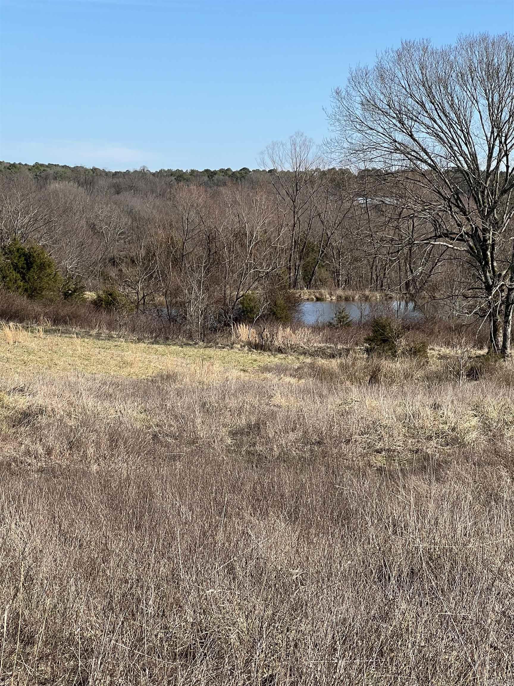 TBD. 62 acres Polk Road 85  Mena, AR