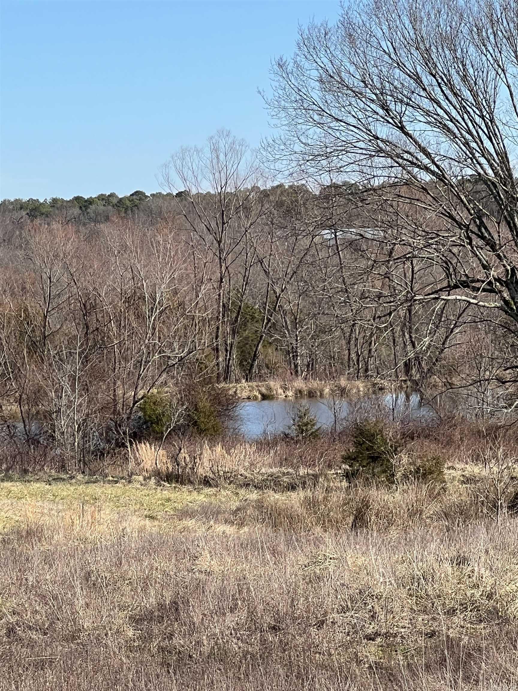 TBD. 62 acres Polk Road 85  Mena, AR