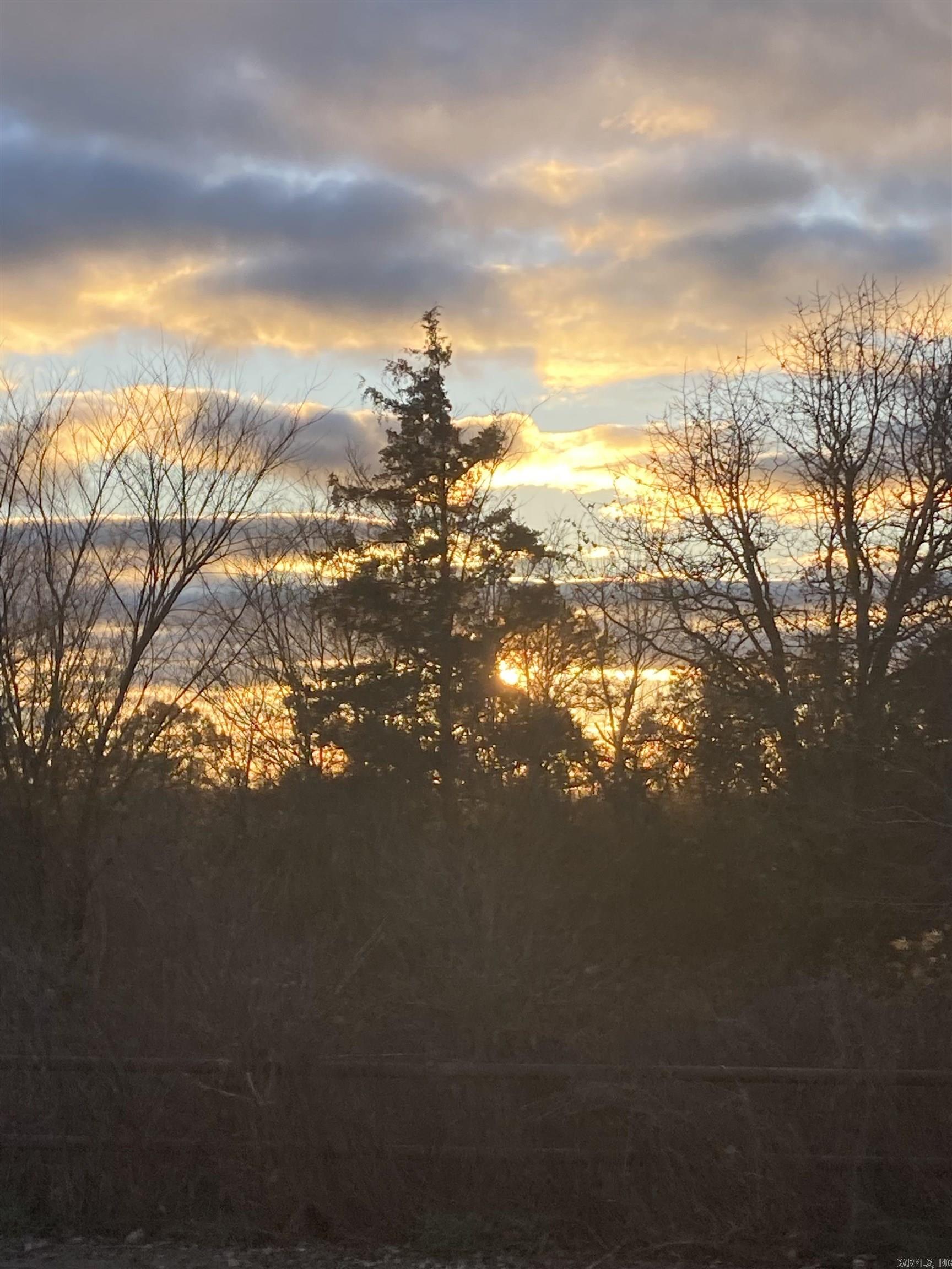 TBD. 62 acres Polk Road 85  Mena, AR