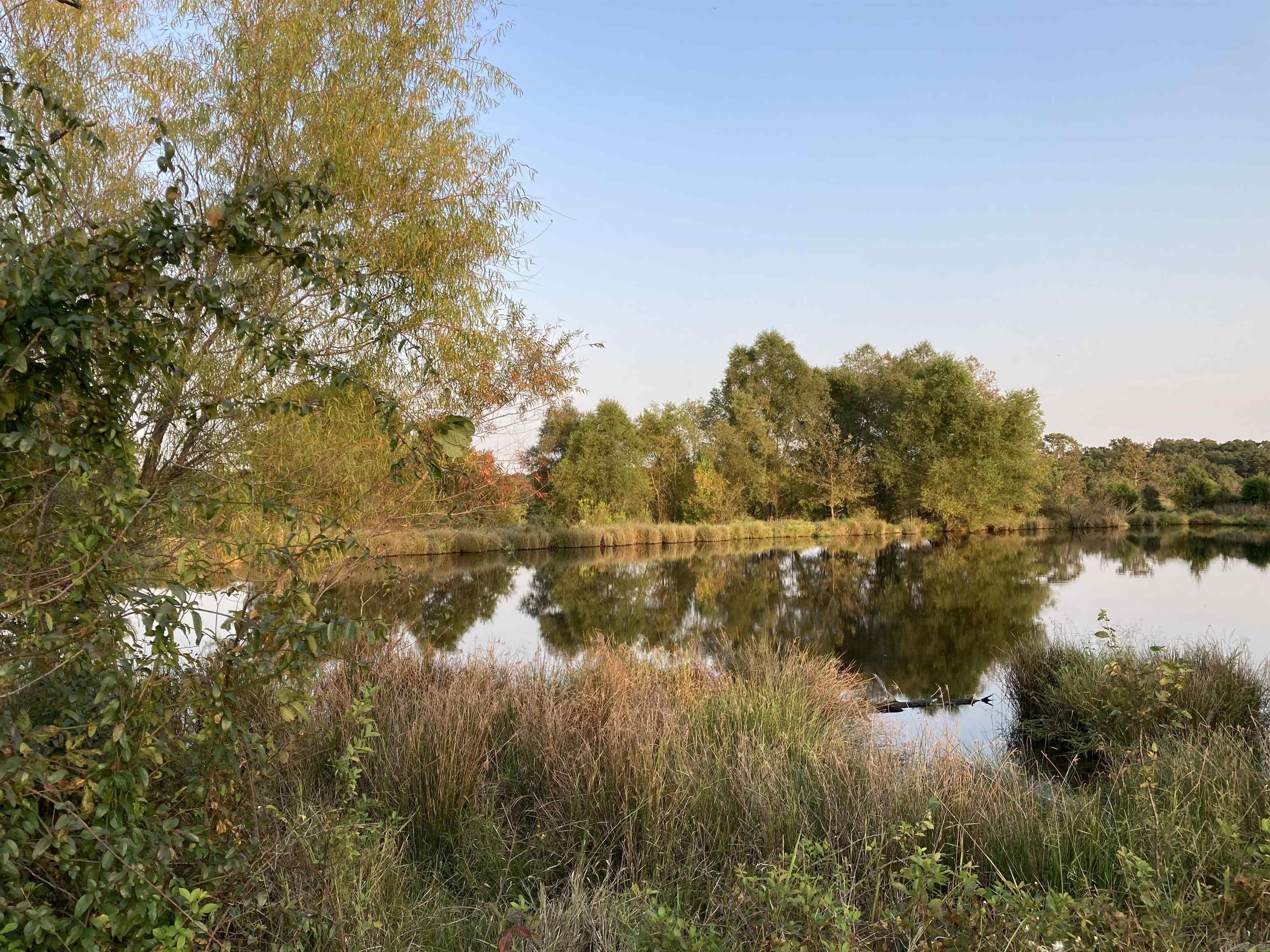 TBD. 62 acres Polk Road 85  Mena, AR