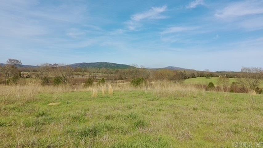 TBD. 62 acres Polk Road 85  Mena, AR