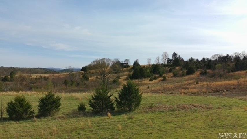 TBD. 62 acres Polk Road 85  Mena, AR